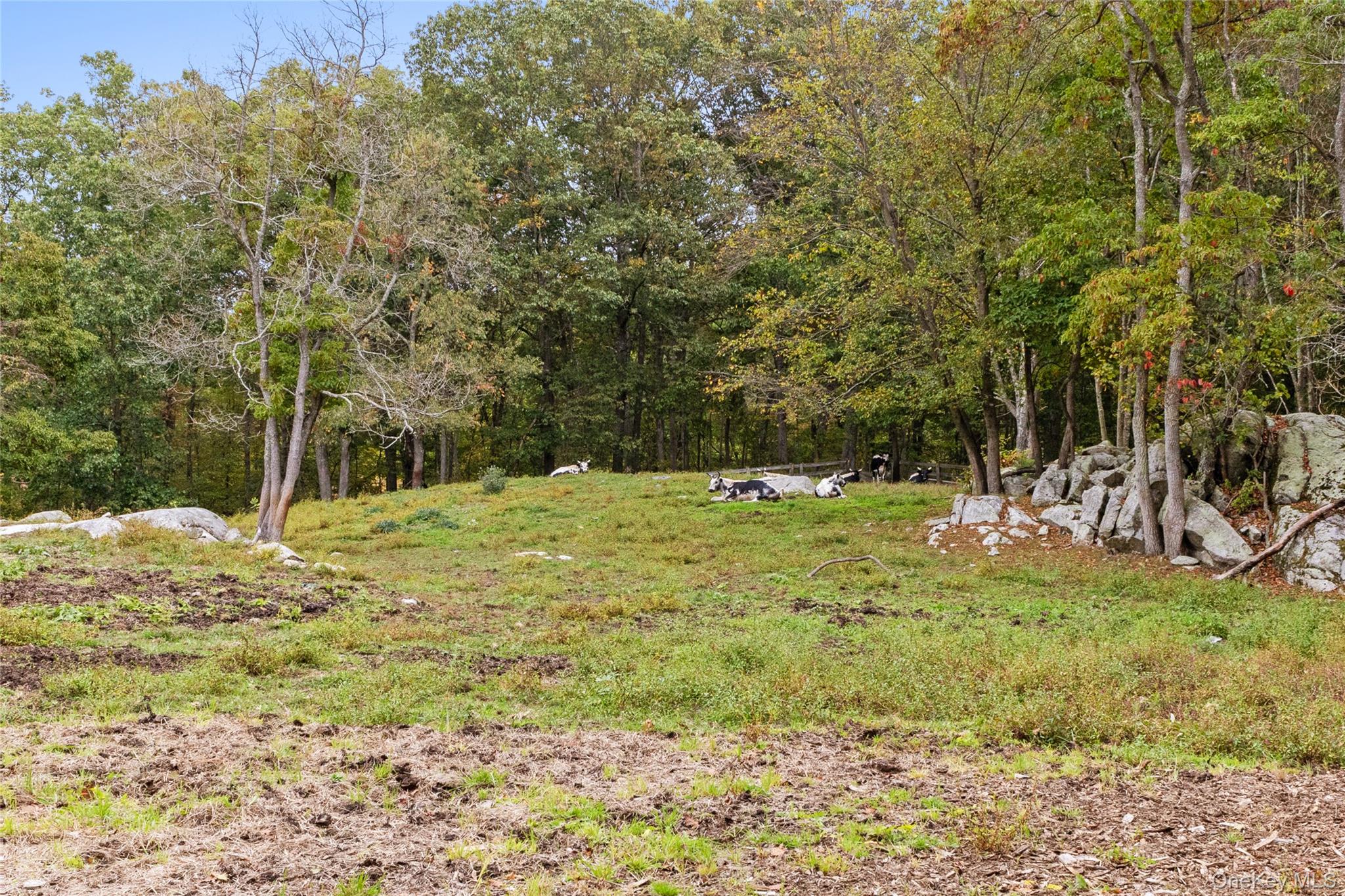 898 Gipsy Trail Road Property Photo 37