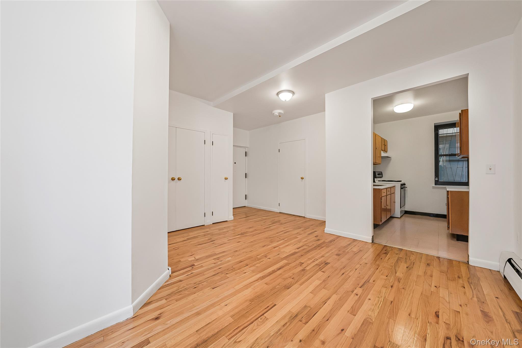 17 E 131st 1a Property Photo 3