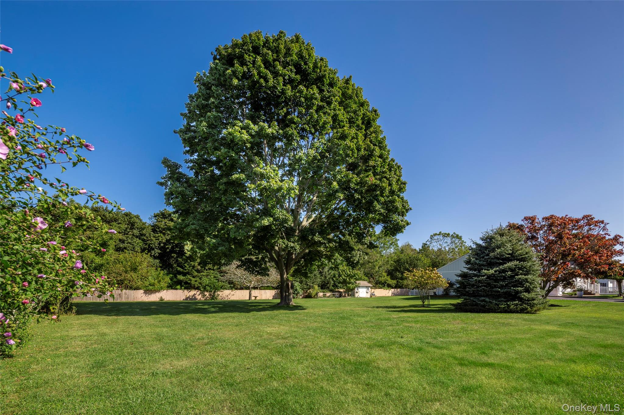 275 Maier Property Photo 4