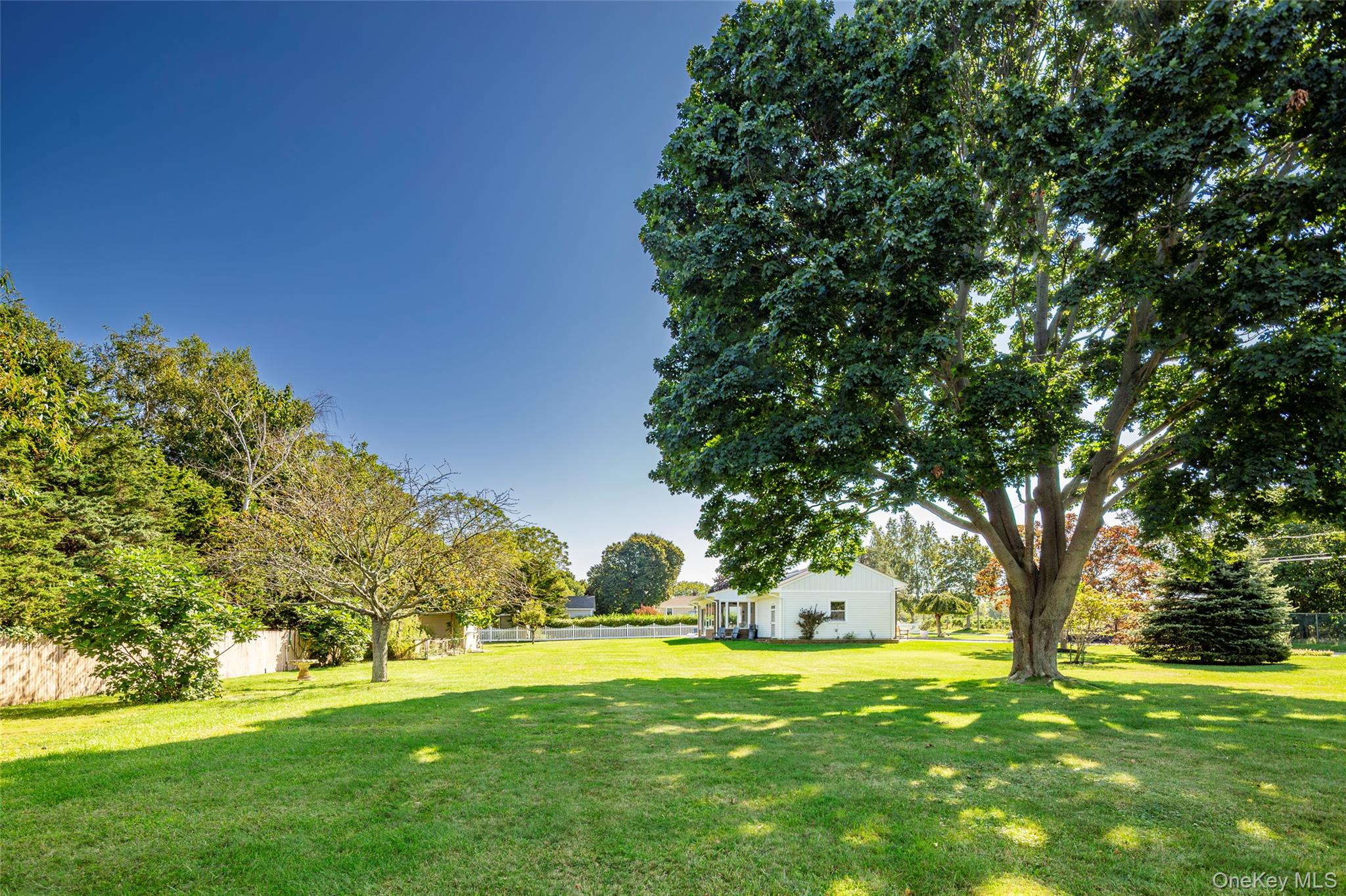 275 Maier Property Photo 5