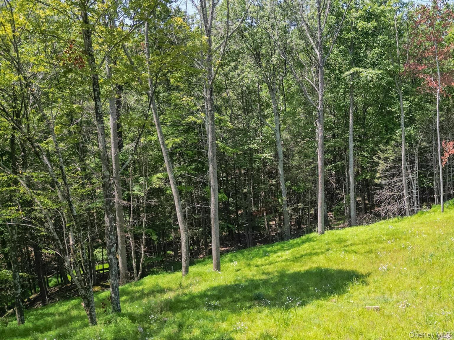 61 Hillside Drive Property Photo 5