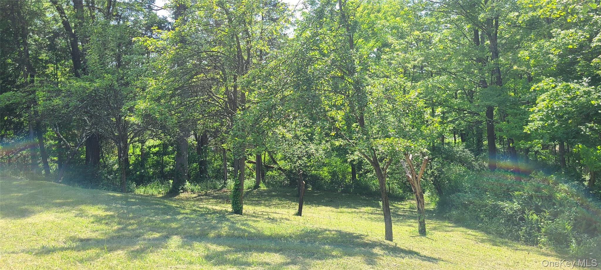 71-79 Dashville Road Property Photo 8
