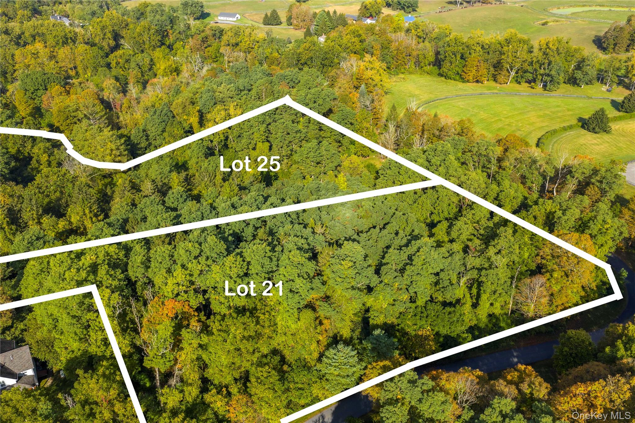 Lot 21 Cox Road Property Photo 2