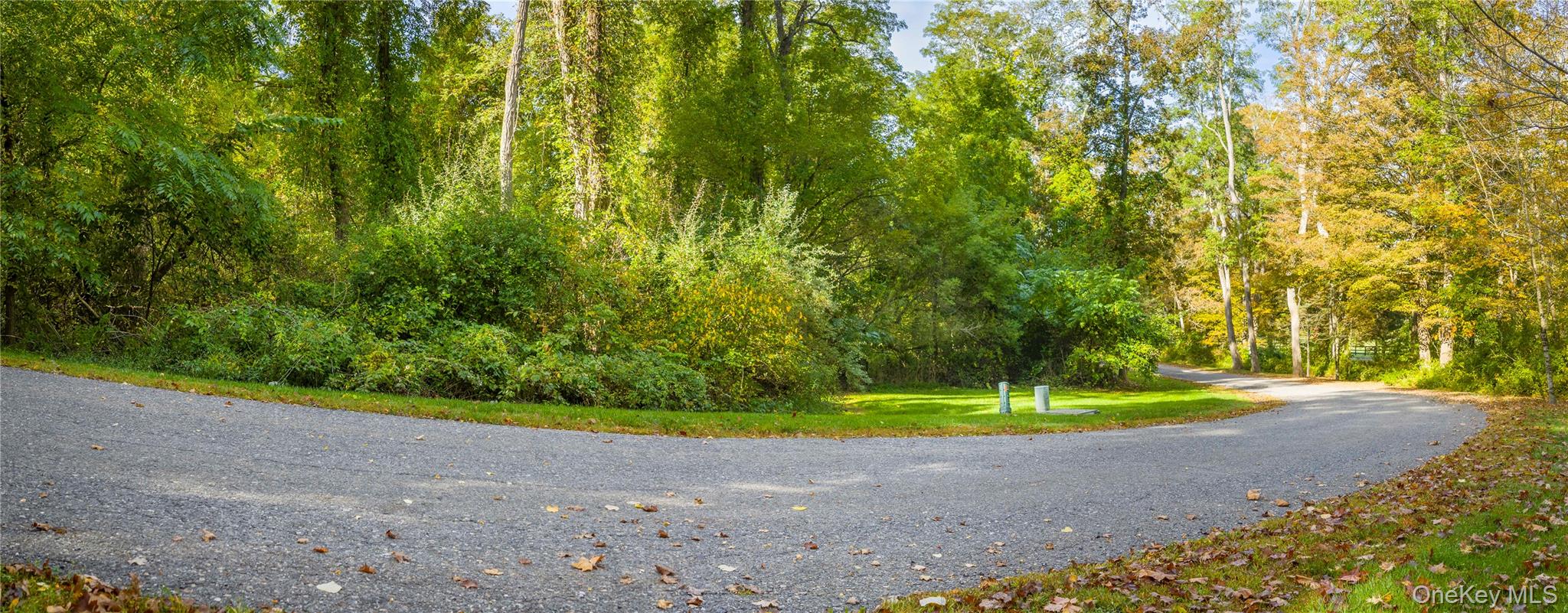 Lot 21 Cox Road Property Photo 4