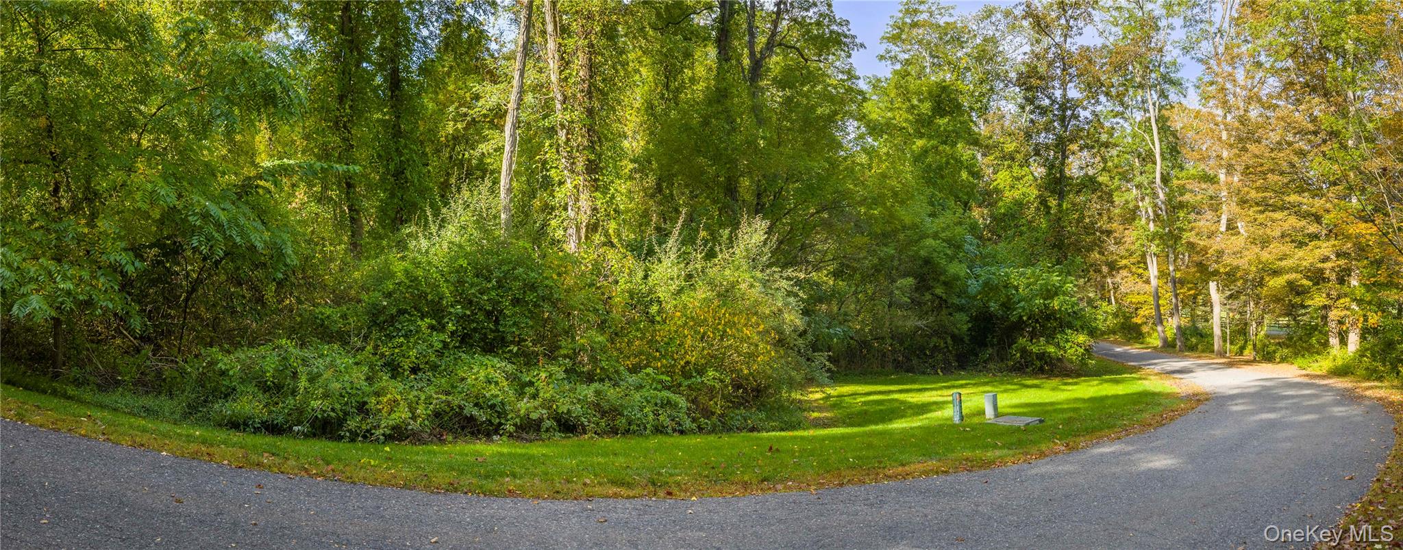 Lot 21 Cox Road Property Photo 6