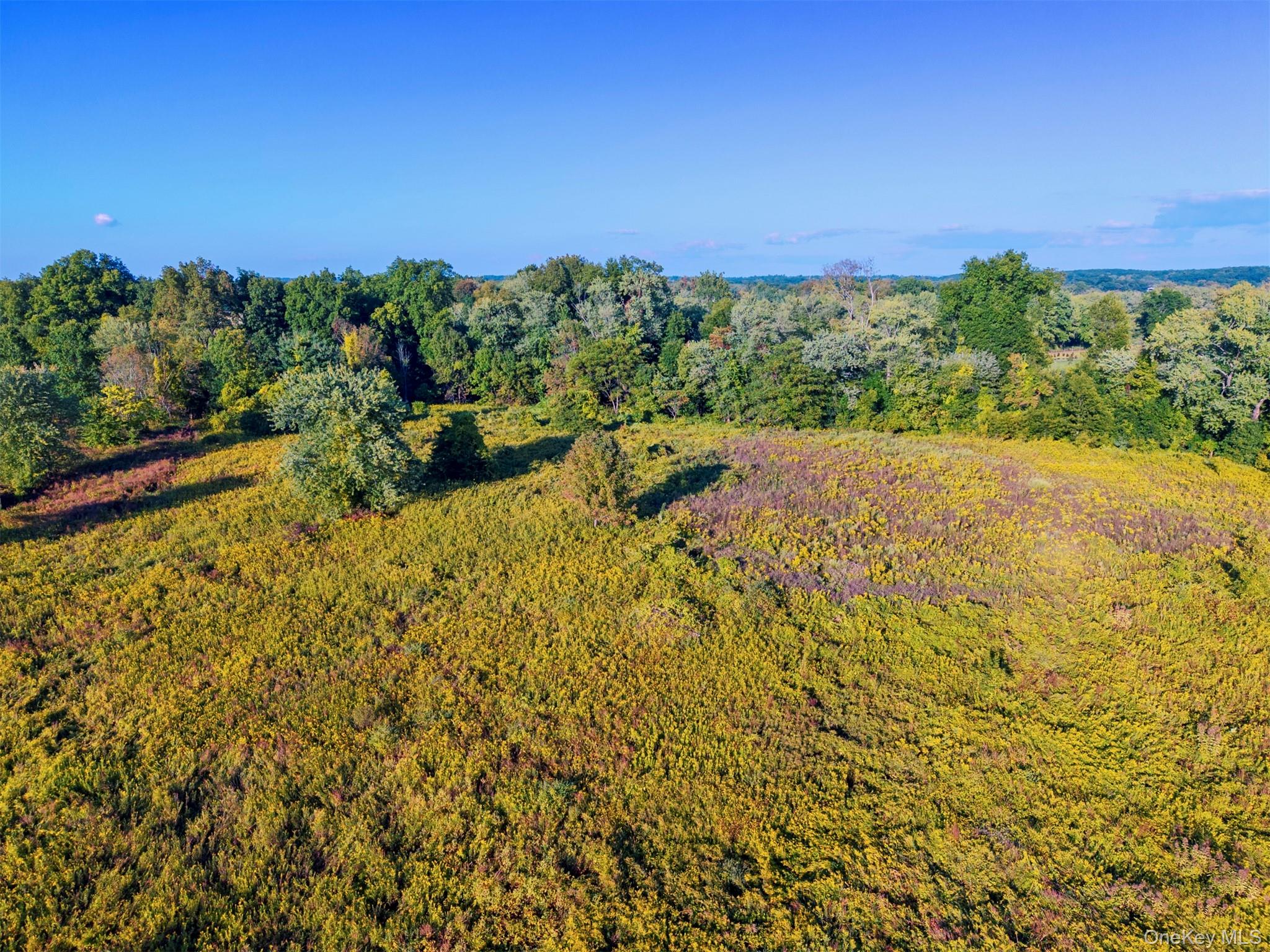 220 Sawkill Road Property Photo 18