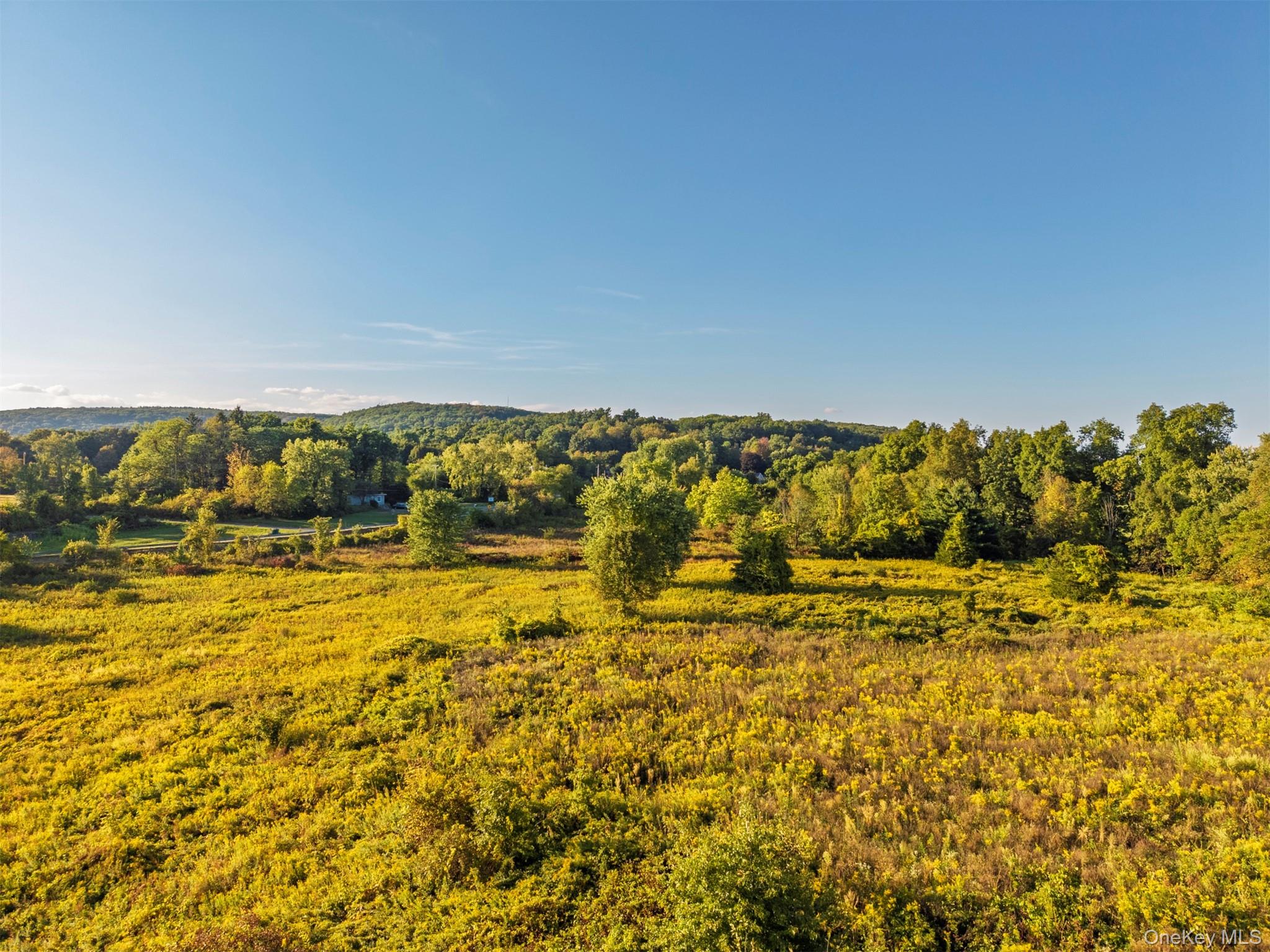 220 Sawkill Road Property Photo 19
