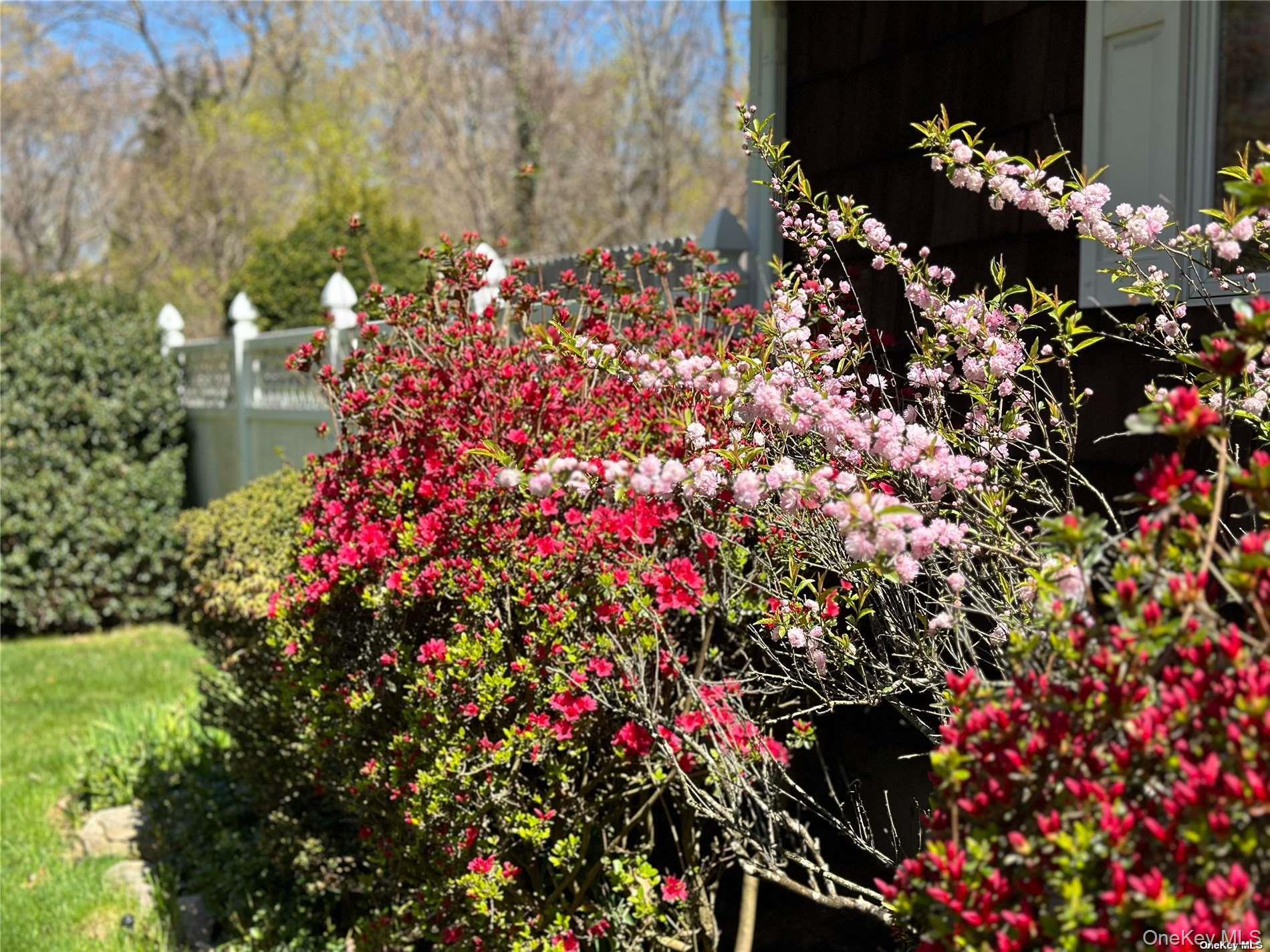 126 Overhill Road Property Photo 20