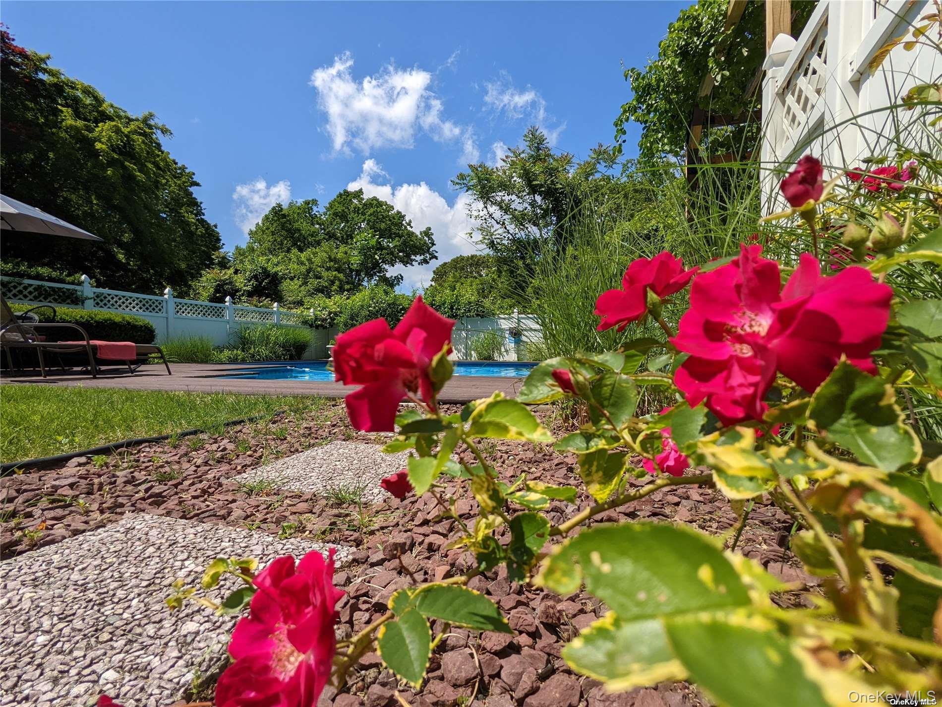 126 Overhill Road Property Photo 22