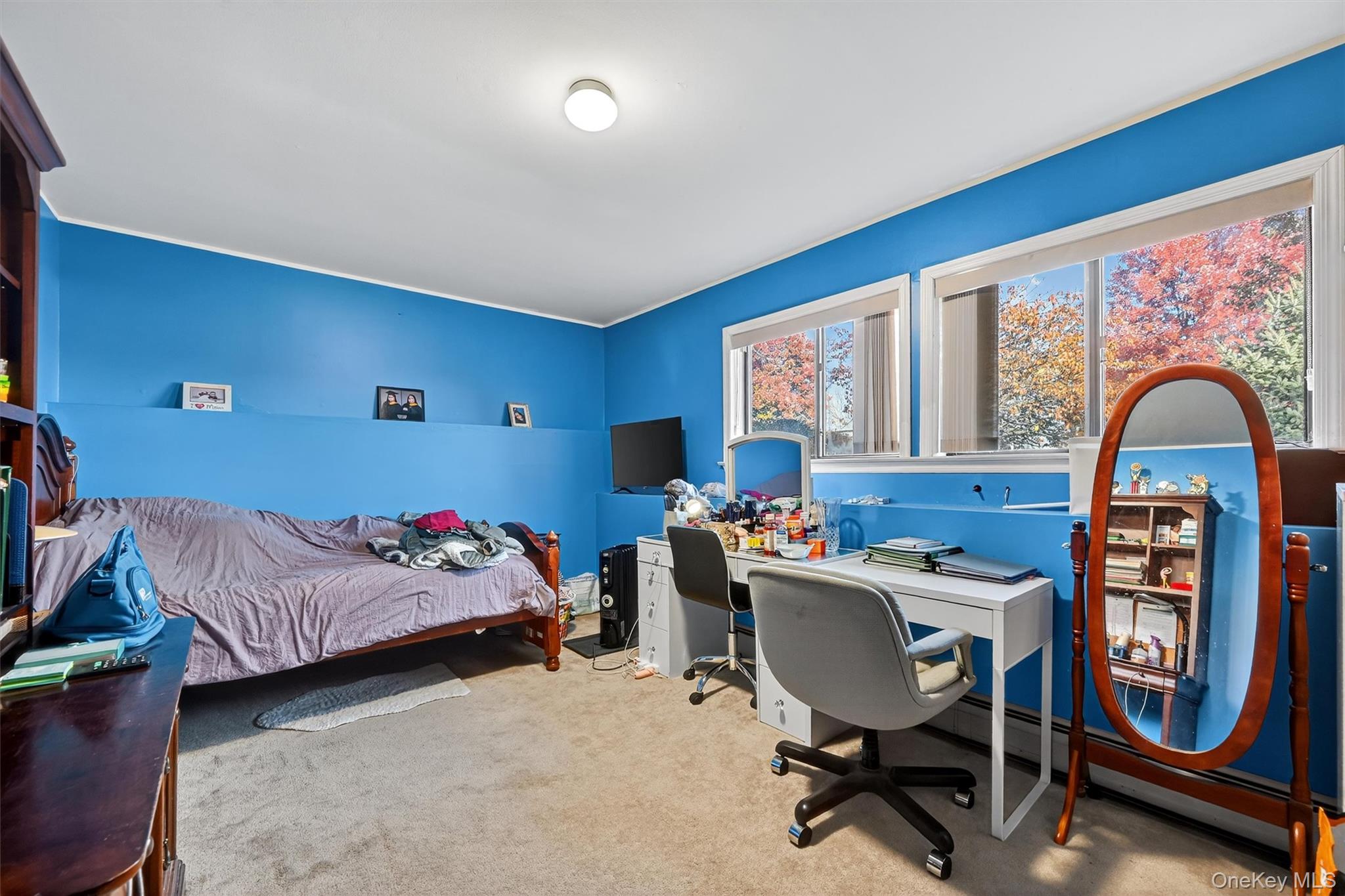 5 Schettig Court Property Photo 23