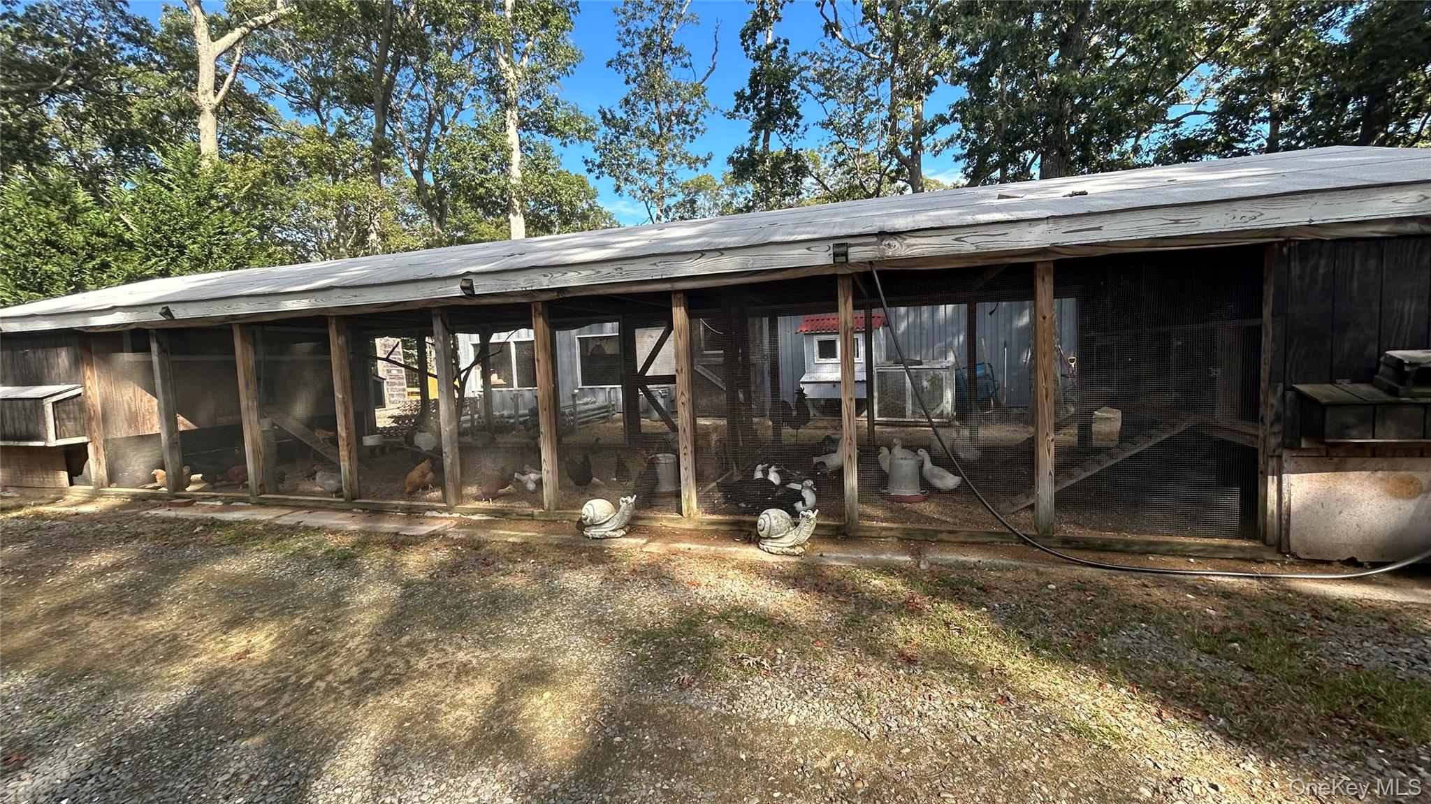 918104 Property Photo 11