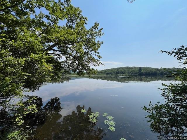 Lot 68 Shore Road Property Photo 1