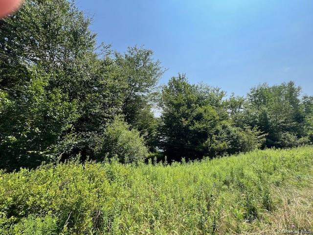 Lot 68 Shore Road Property Photo 4