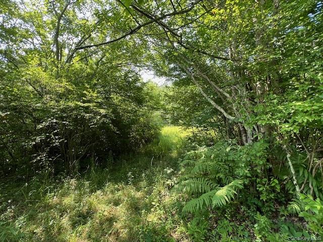 Lot 68 Shore Road Property Photo 6