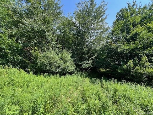 Lot 68 Shore Road Property Photo 8
