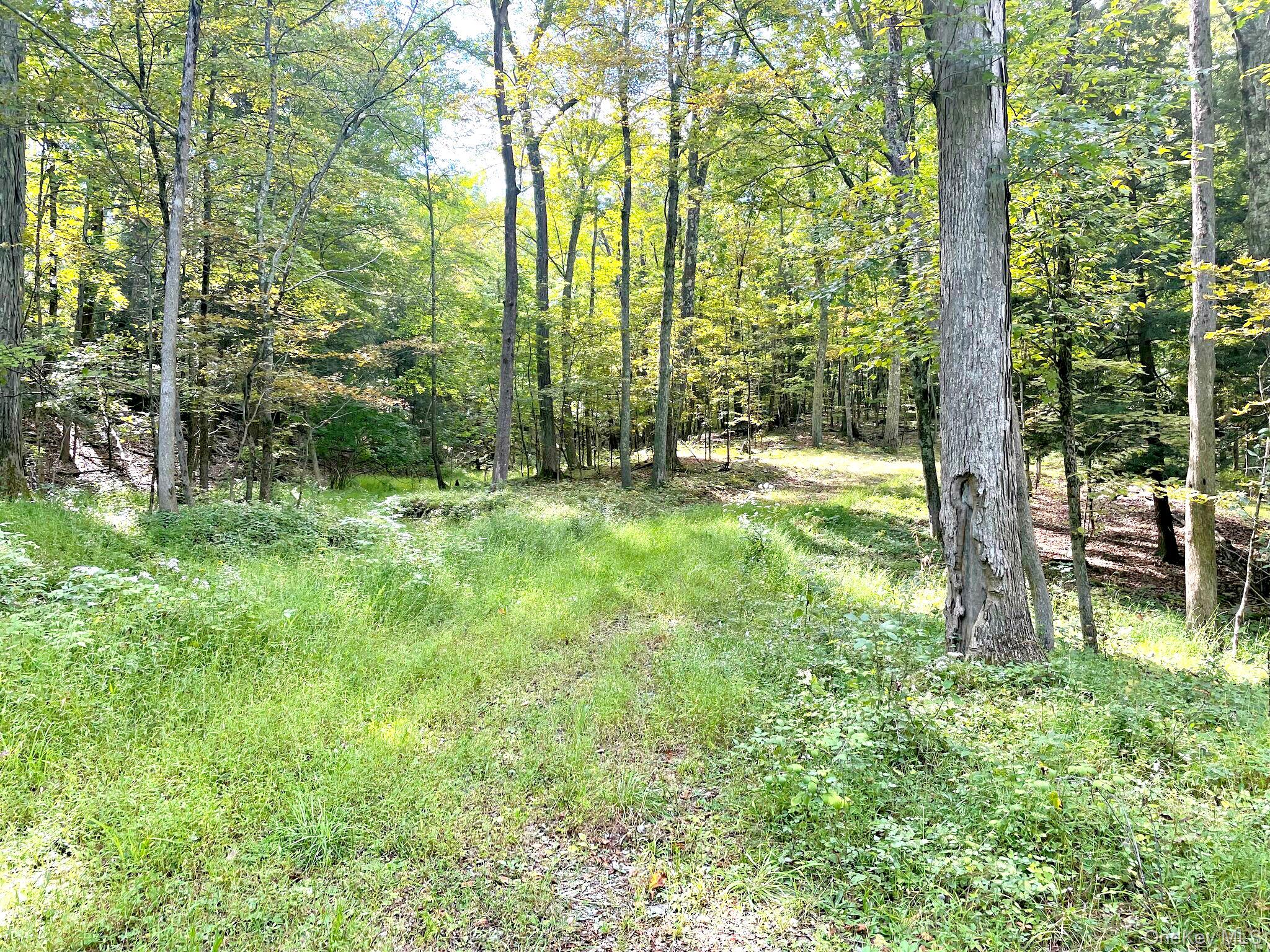 65 Patricia Lane Property Photo 10