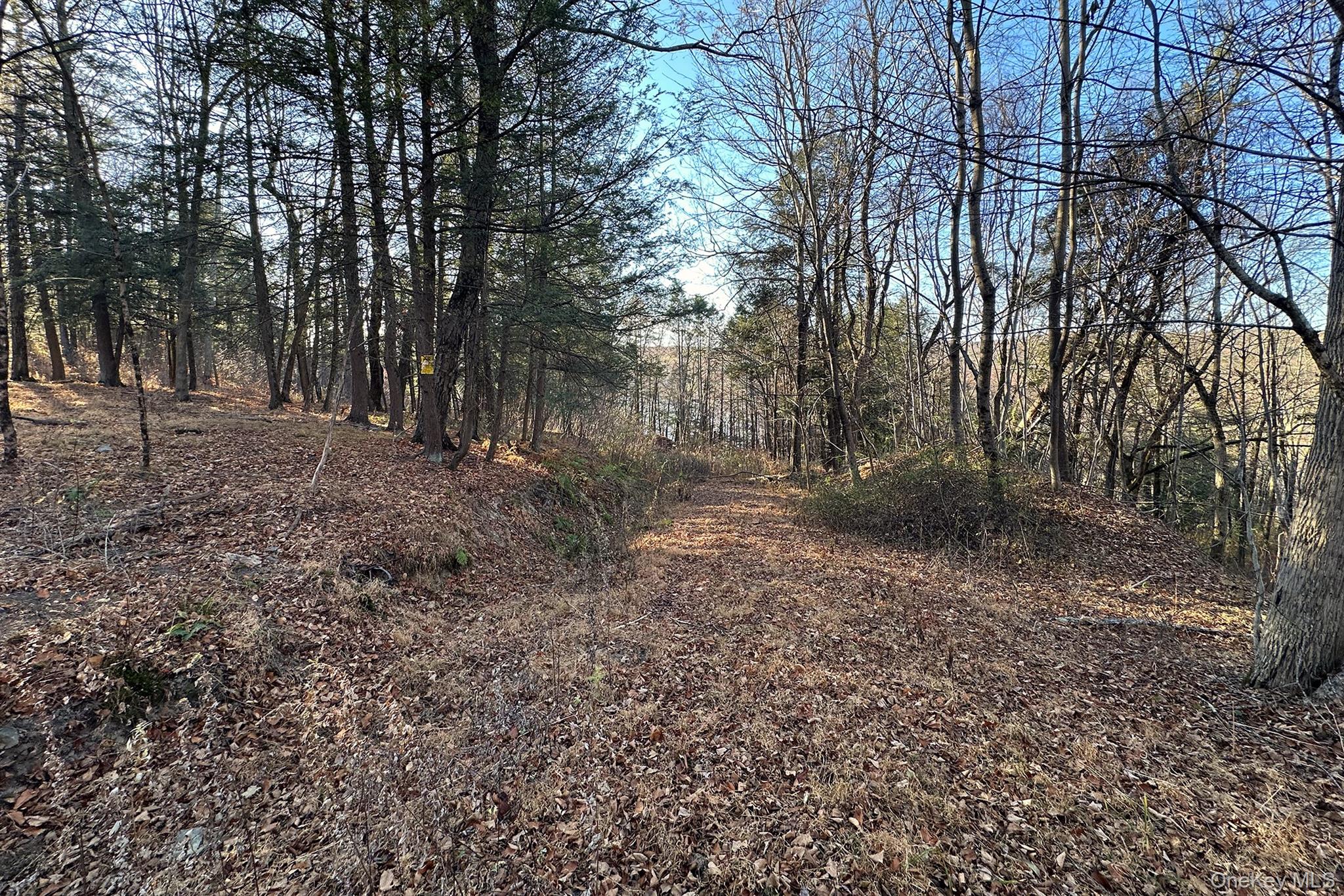 65 Patricia Lane Property Photo 13