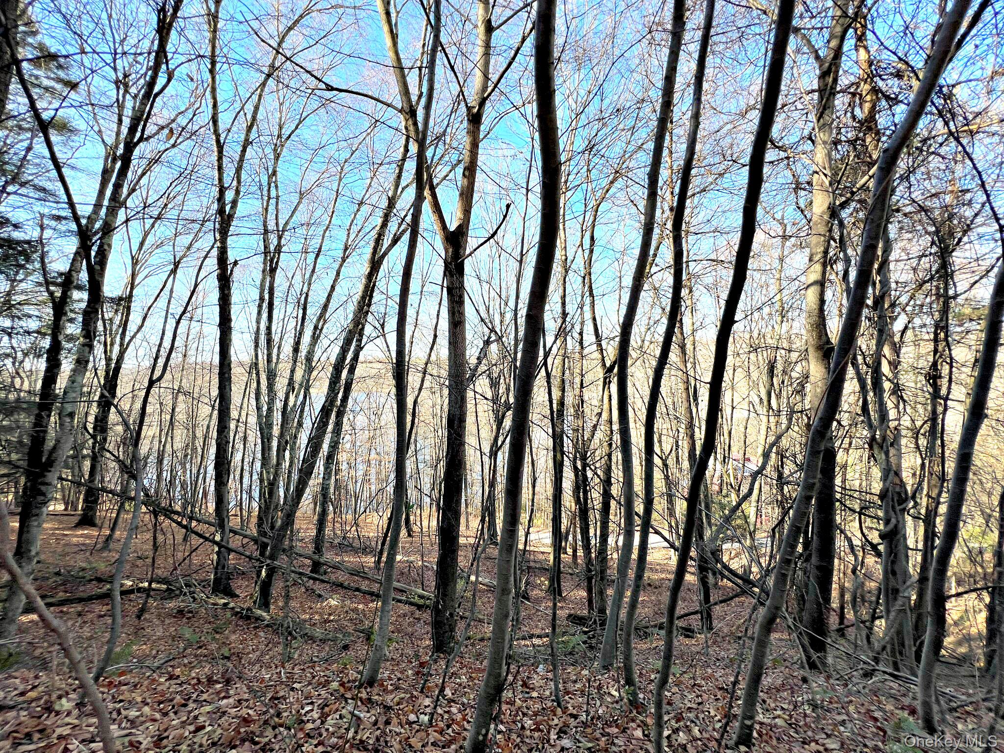 65 Patricia Lane Property Photo 14