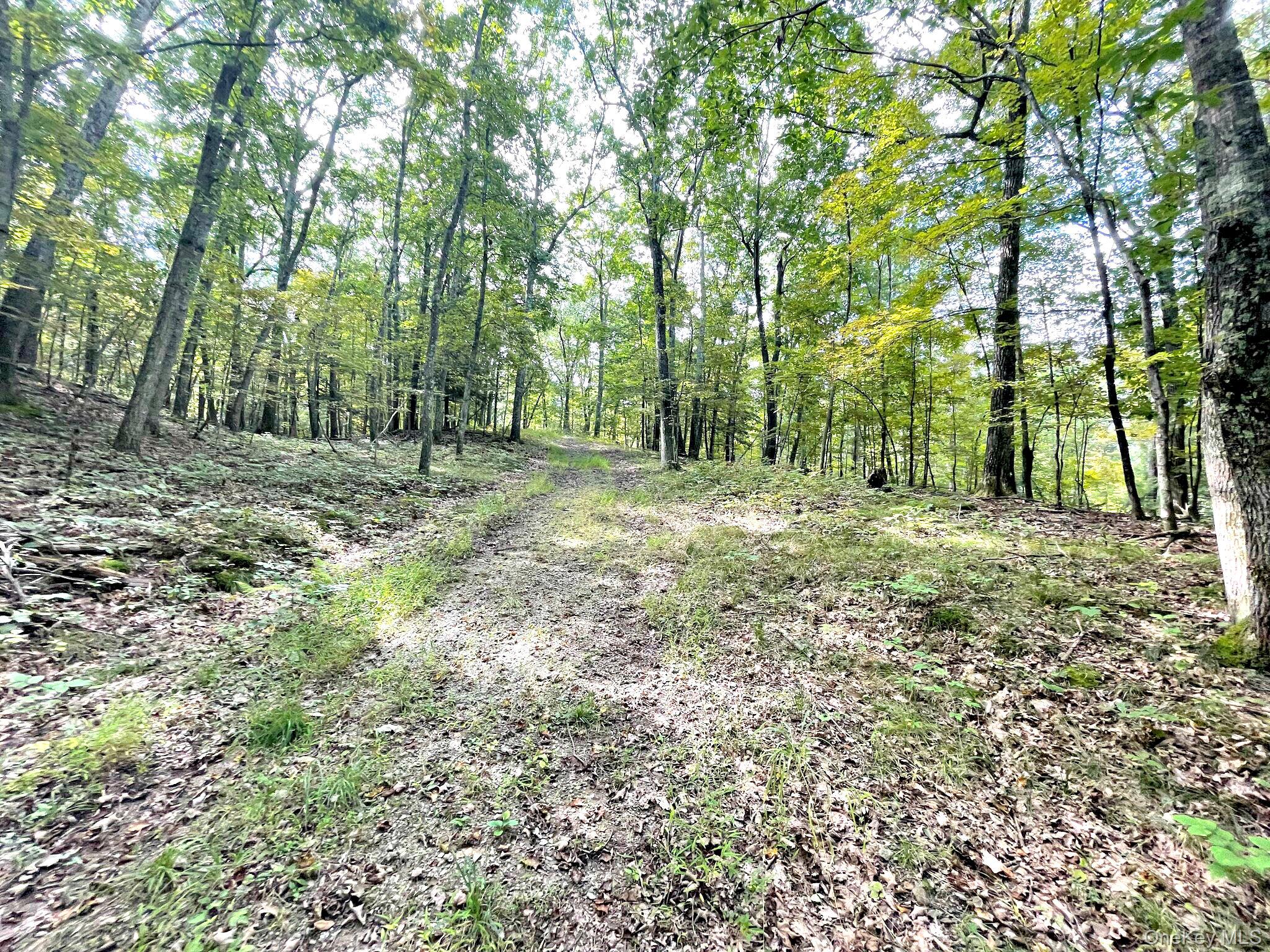 65 Patricia Lane Property Photo 16