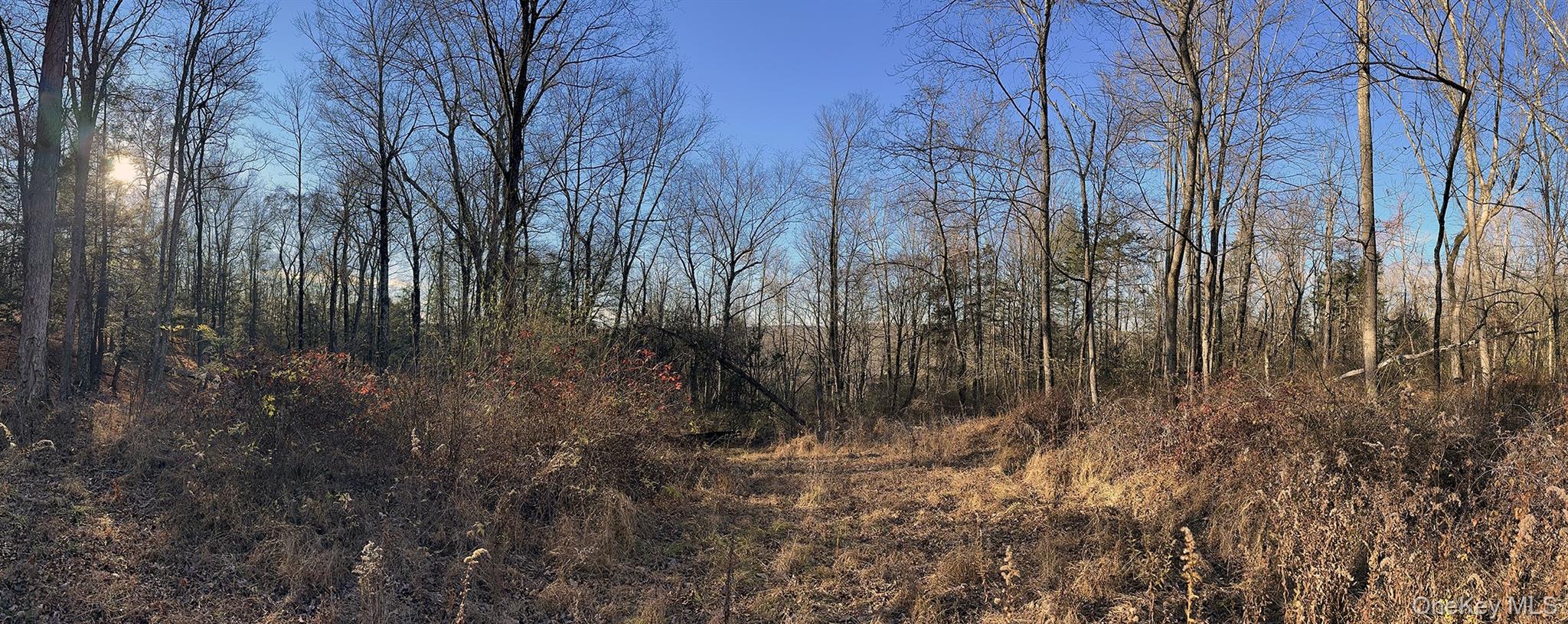 65 Patricia Lane Property Photo 22