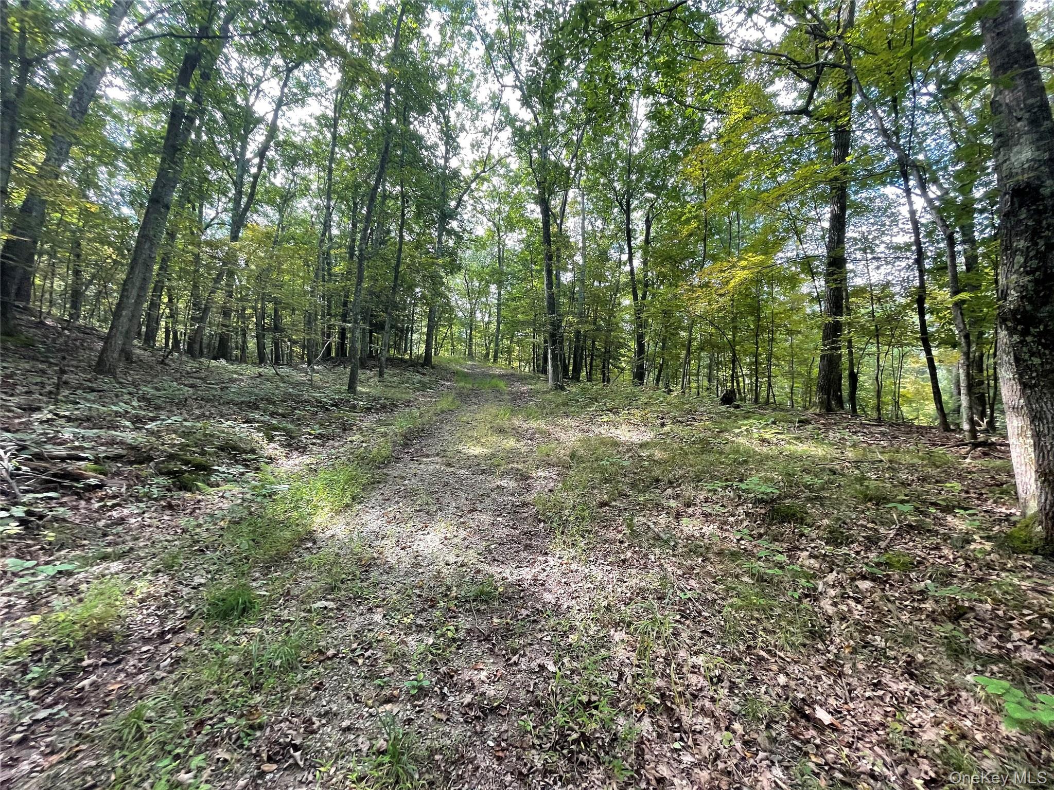 65 Patricia Lane Property Photo 27