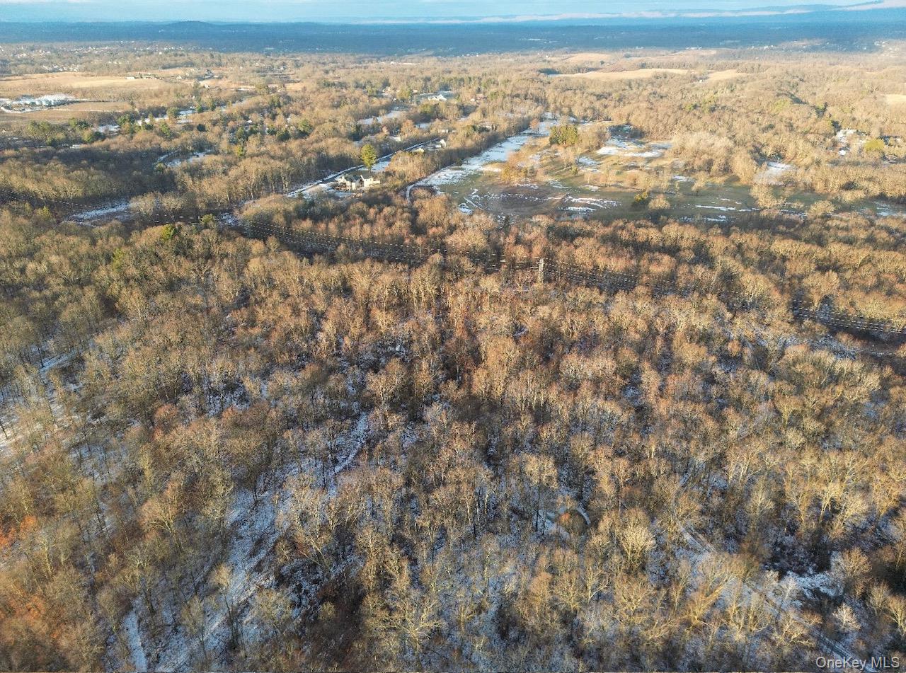 183 Plains Road Property Photo 2