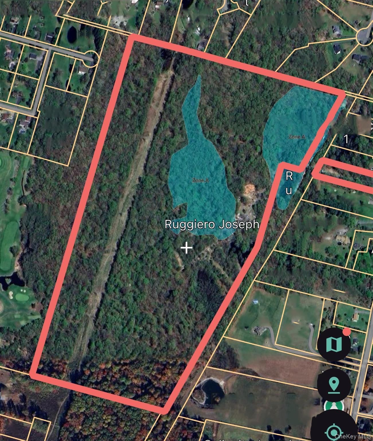 183 Plains Road Property Photo 4