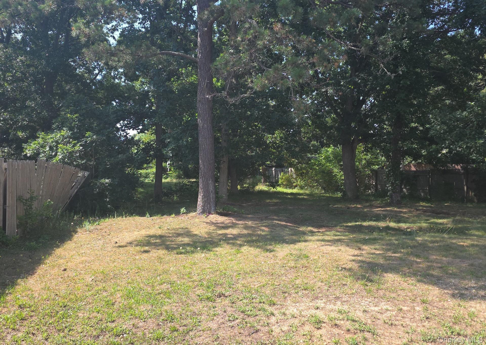 80 Patton Avenue Property Photo 11
