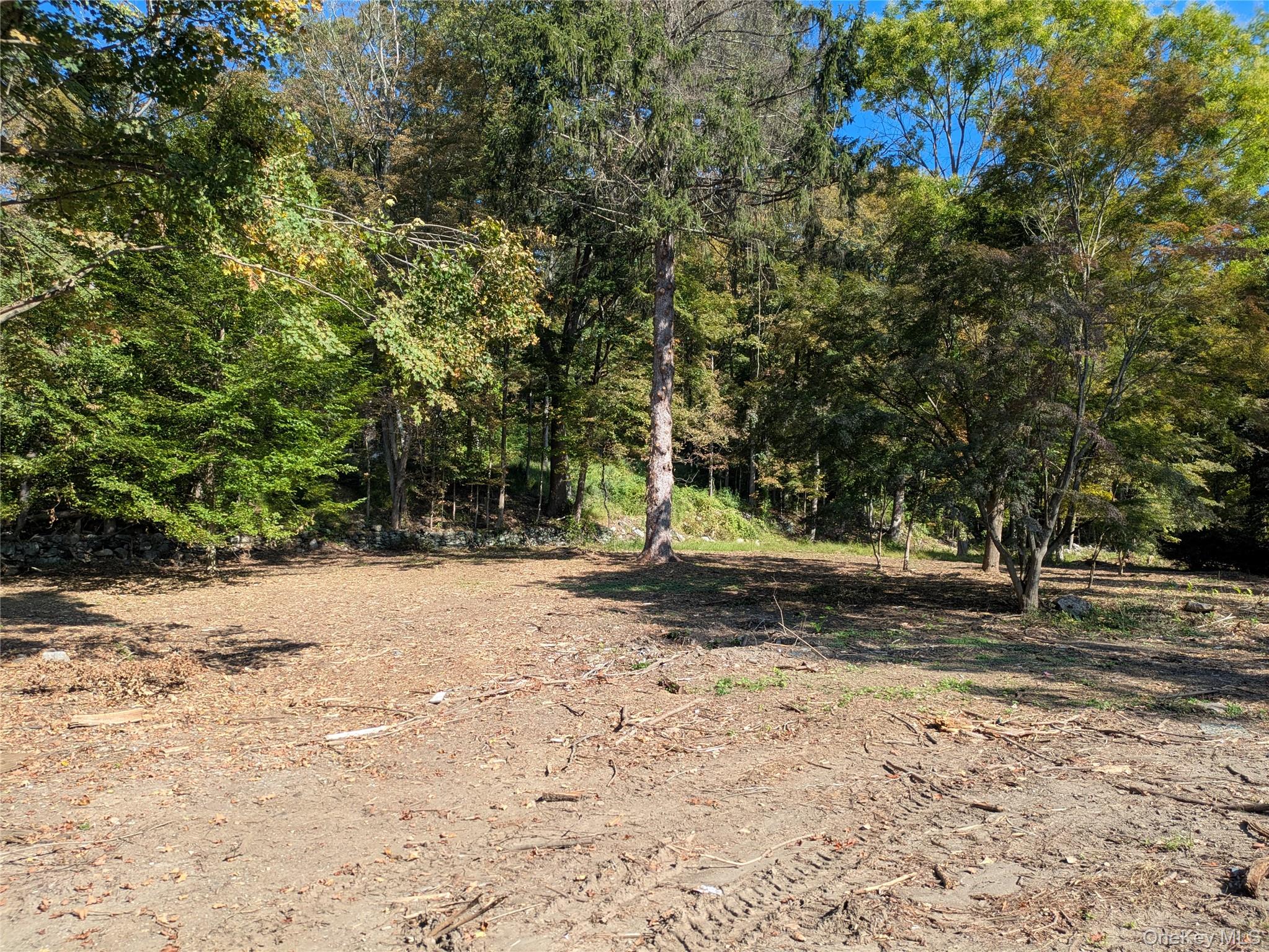 54 Reed Avenue Property Photo 2