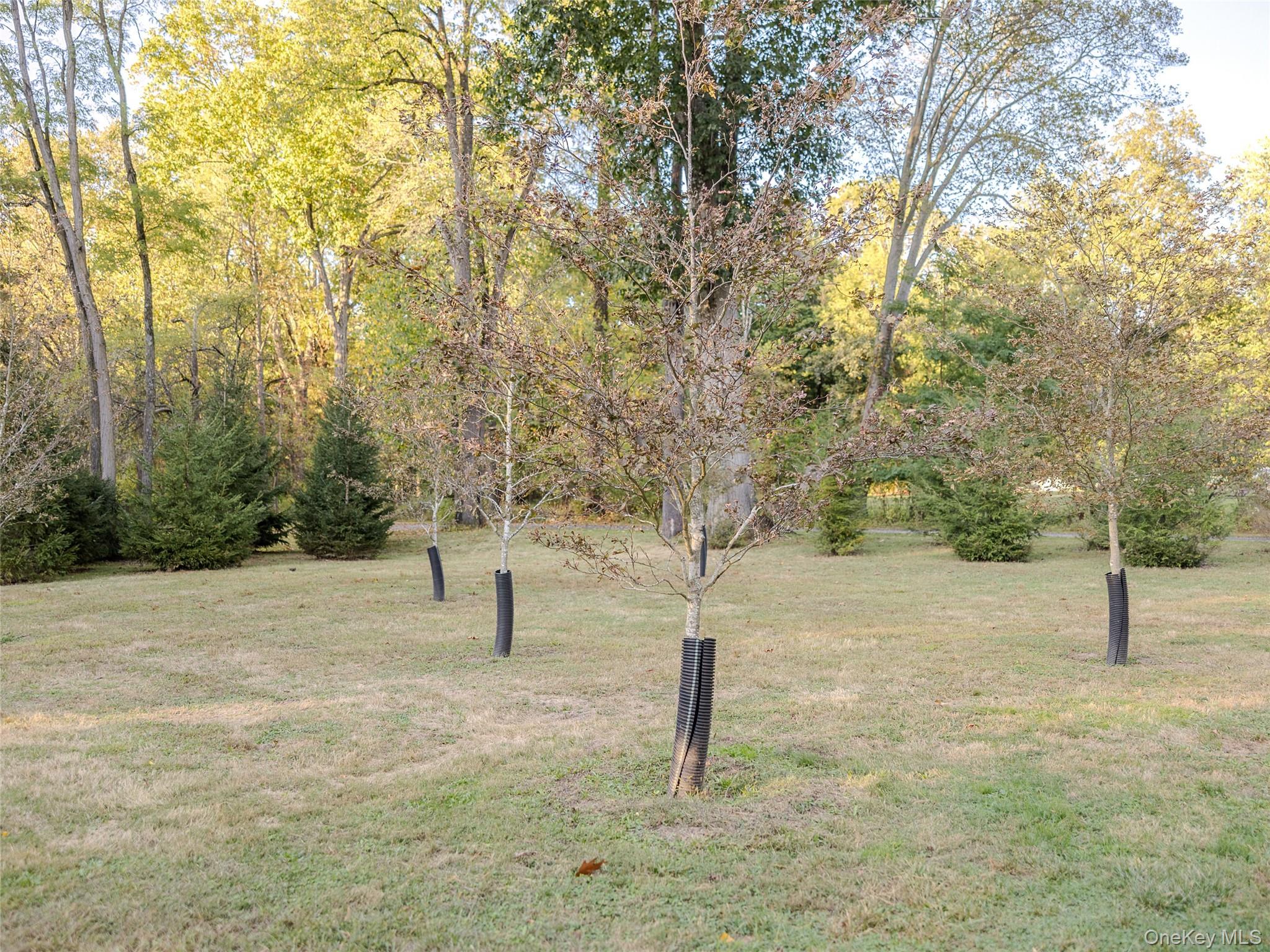 63 Colonial Avenue Property Photo 30