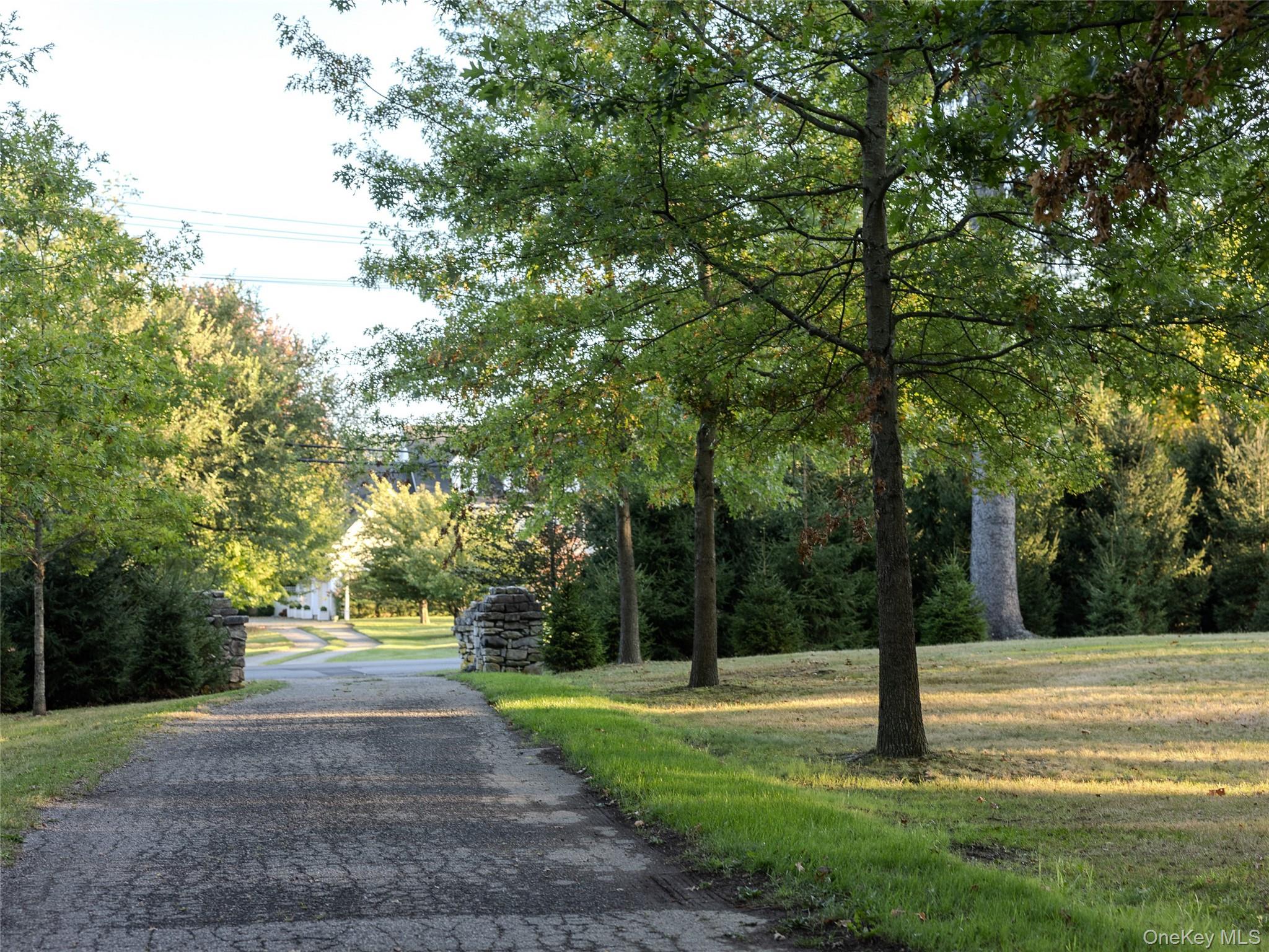 63 Colonial Avenue Property Photo 35