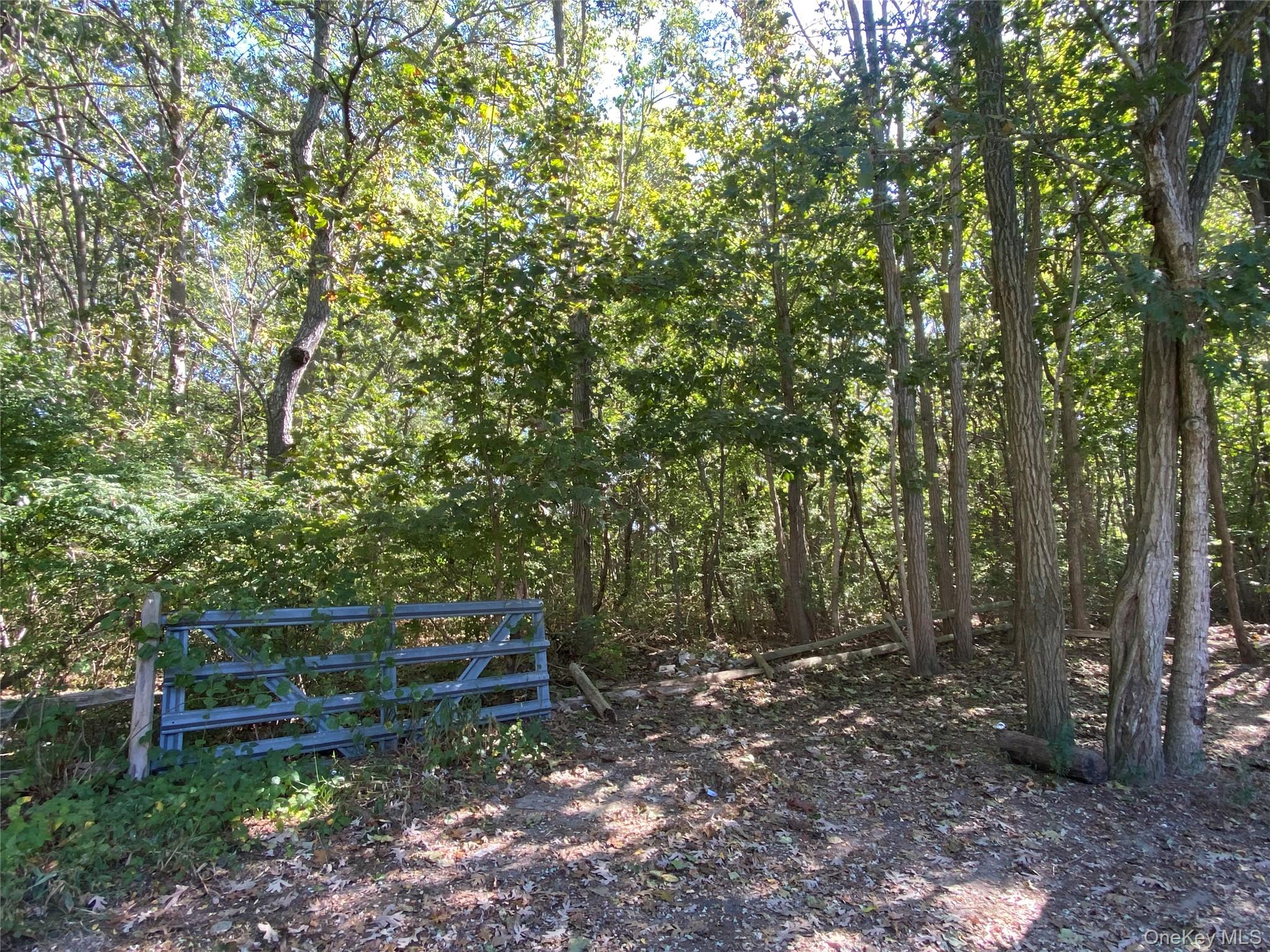 N Ocean Avenue Property Photo 2