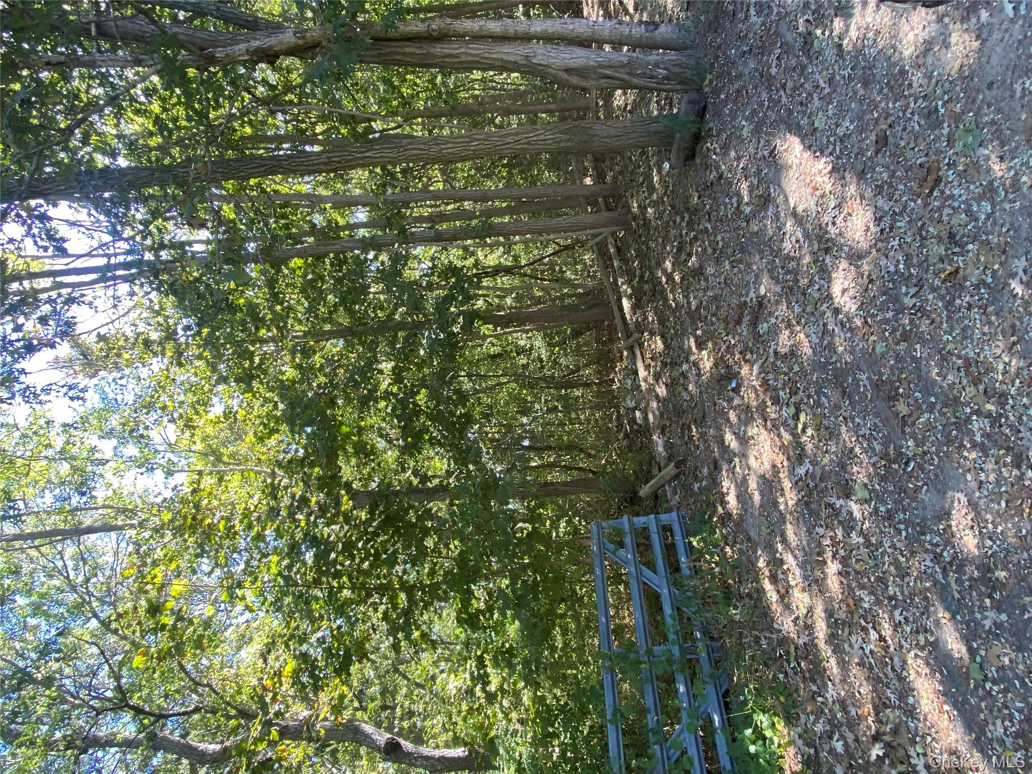 N Ocean Avenue Property Photo 3