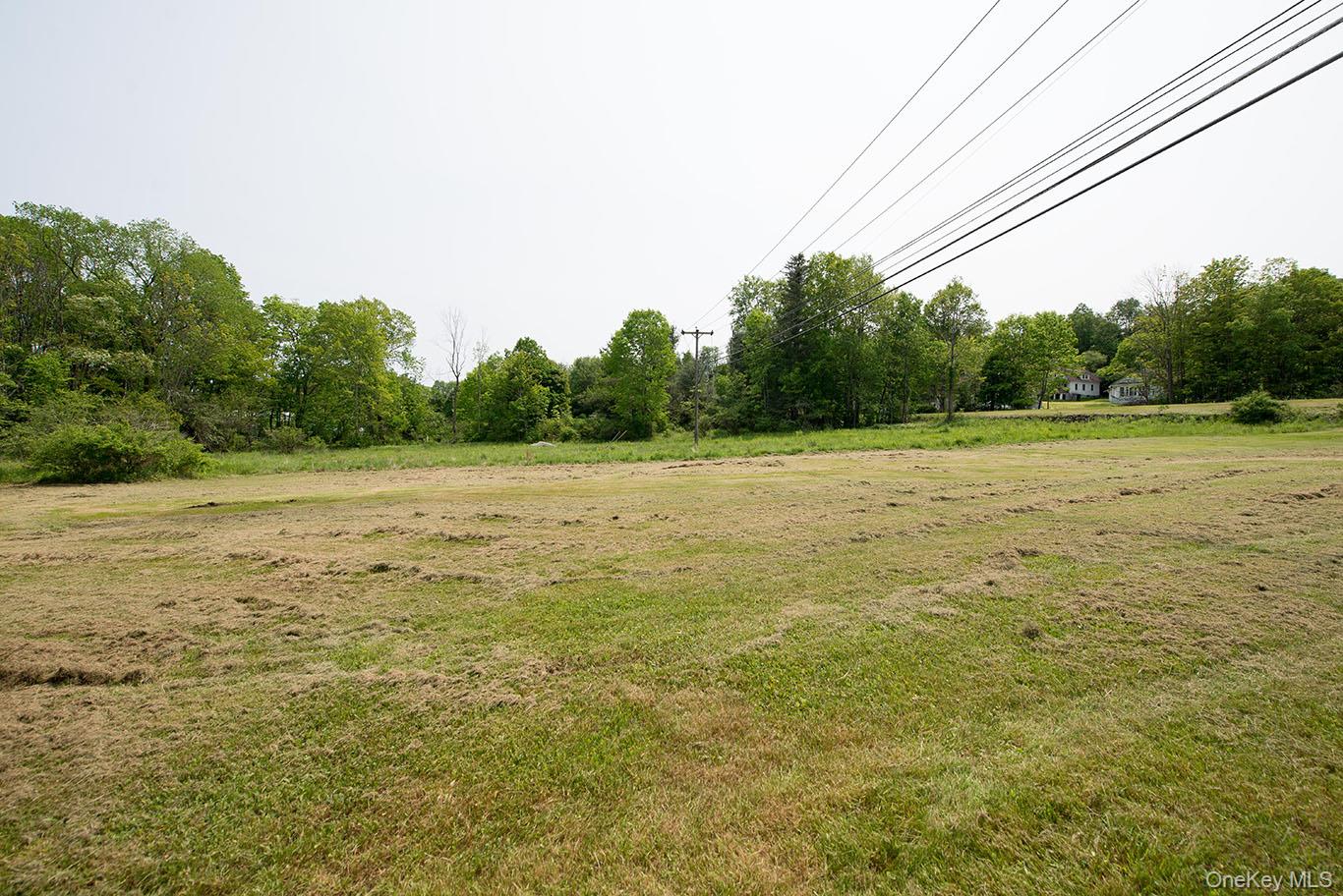 1132 Old Route 17 Property Photo 22