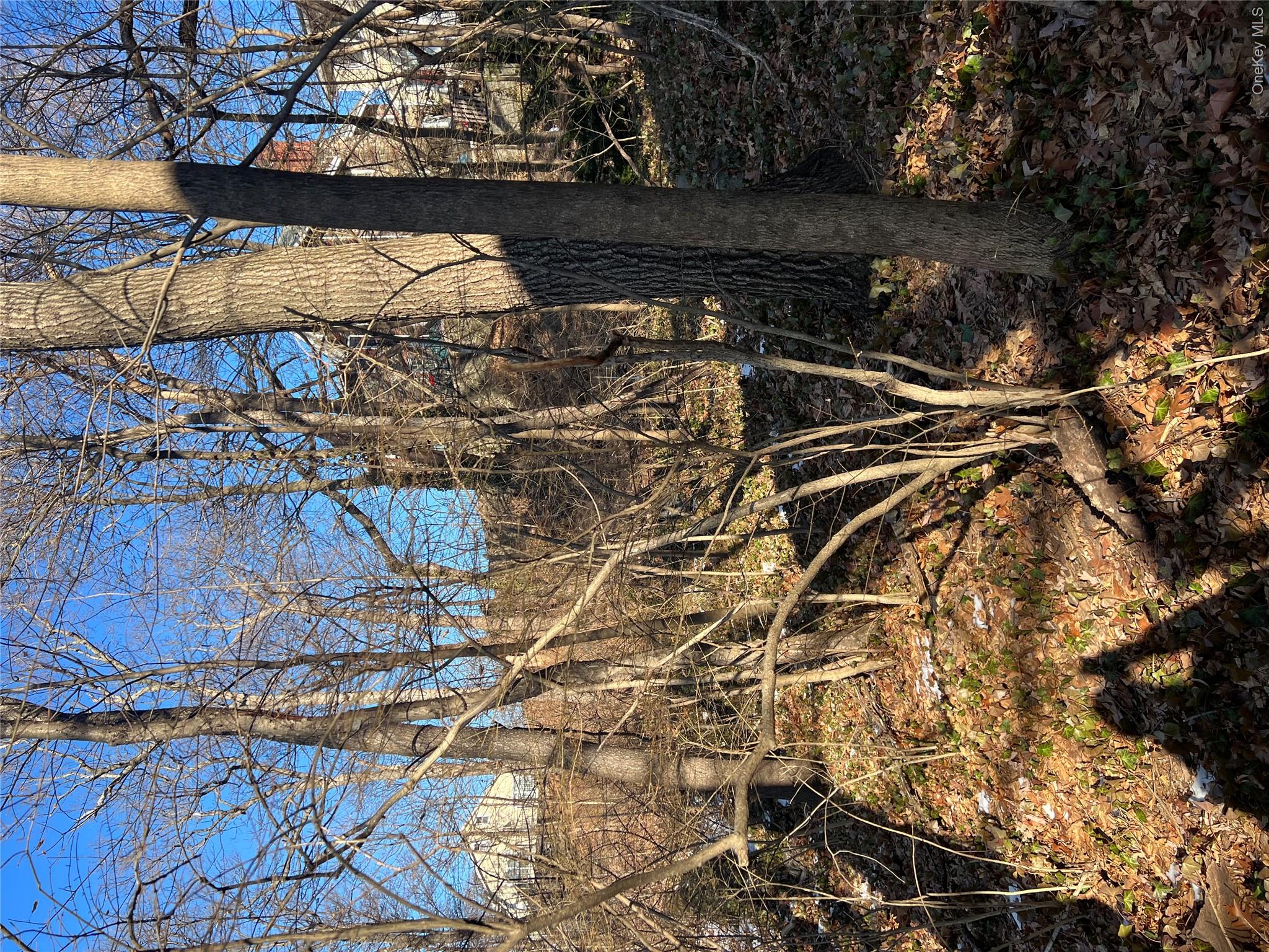 102 Courter Avenue Property Photo 1