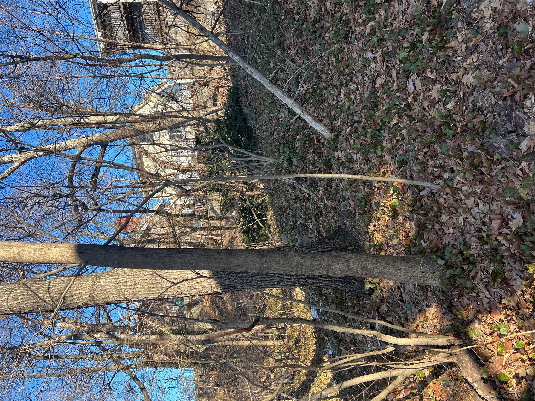 102 Courter Avenue Property Photo 2