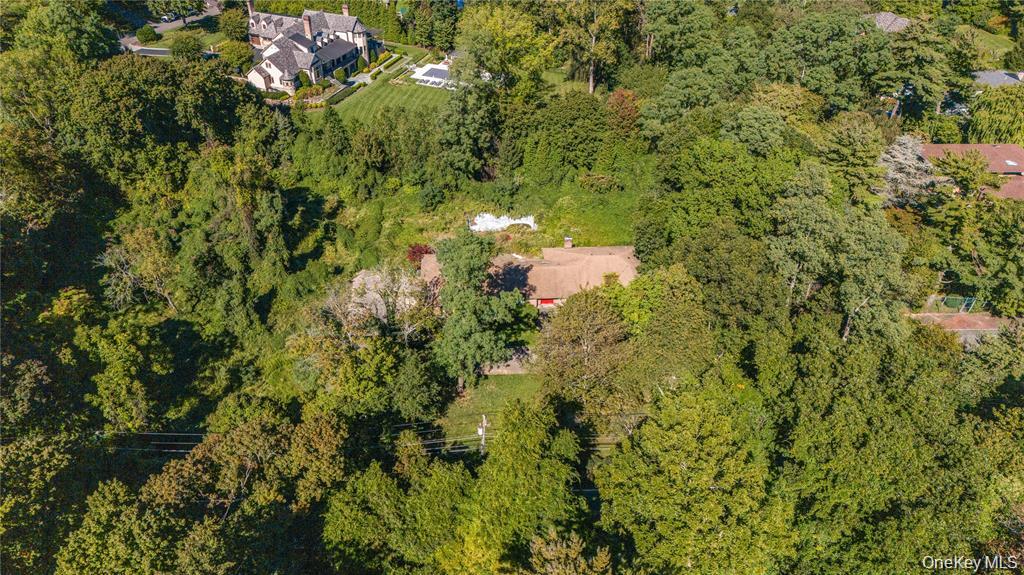 169 Middle Neck Road Property Photo 5