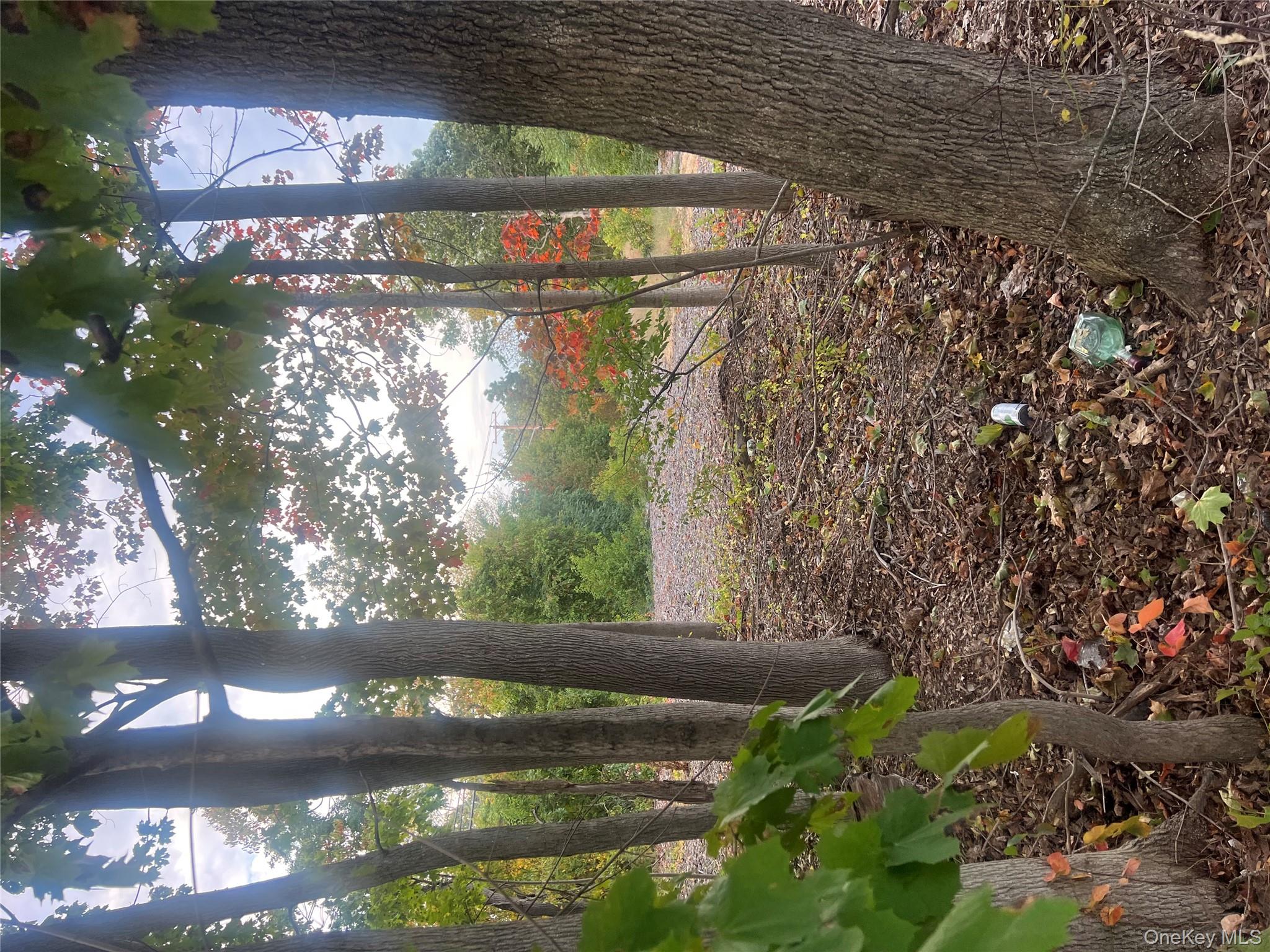 0 Joshuas Path Property Photo 8