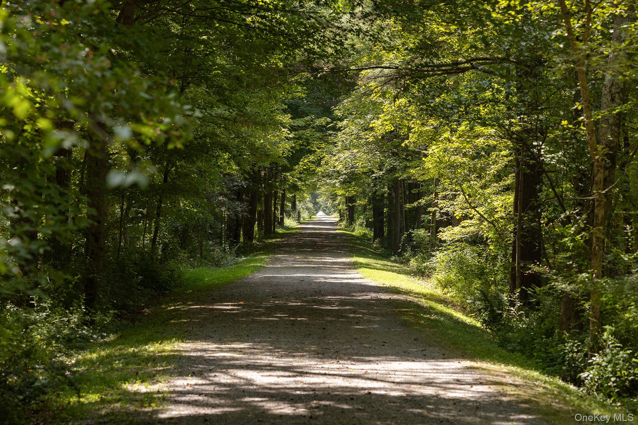 281 County Route 3 Property Photo 24