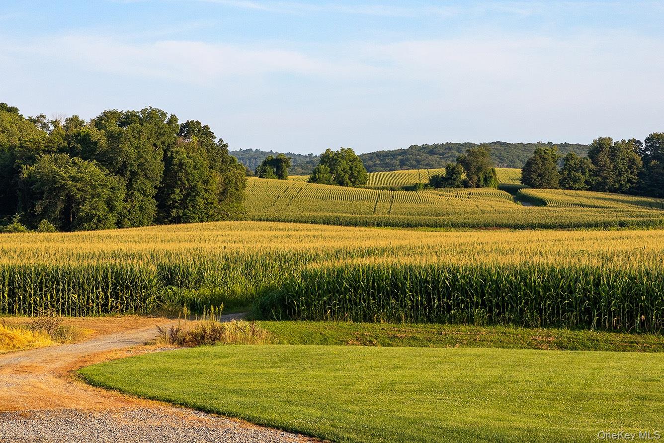 281 County Route 3 Property Photo 32