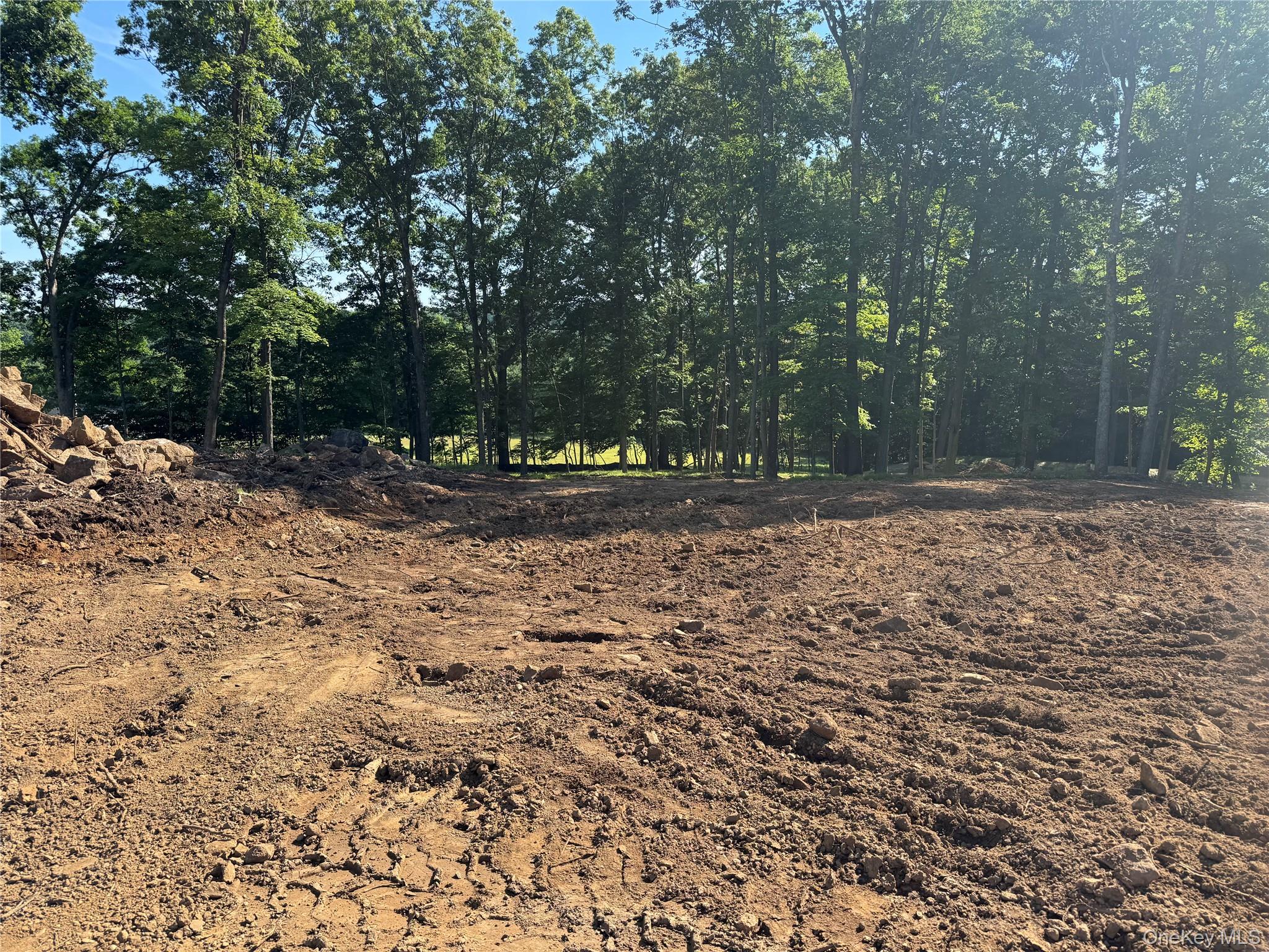 Lot 1 Dorchester Drive Property Photo 9