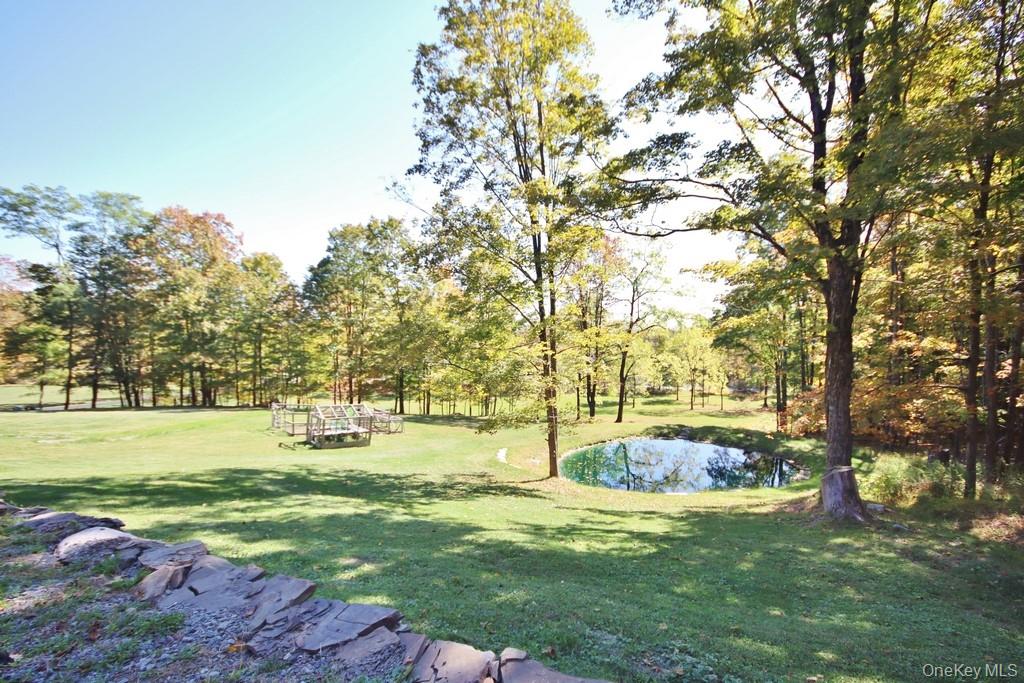 575 Roosa Gap Road Property Photo 12