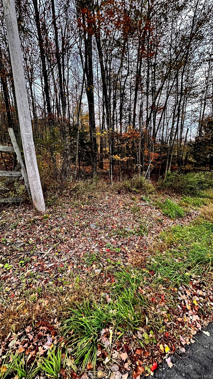 Tbd Hysana Road Property Photo 1