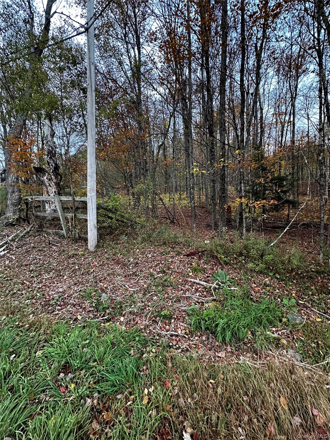 Tbd Hysana Road Property Photo 4