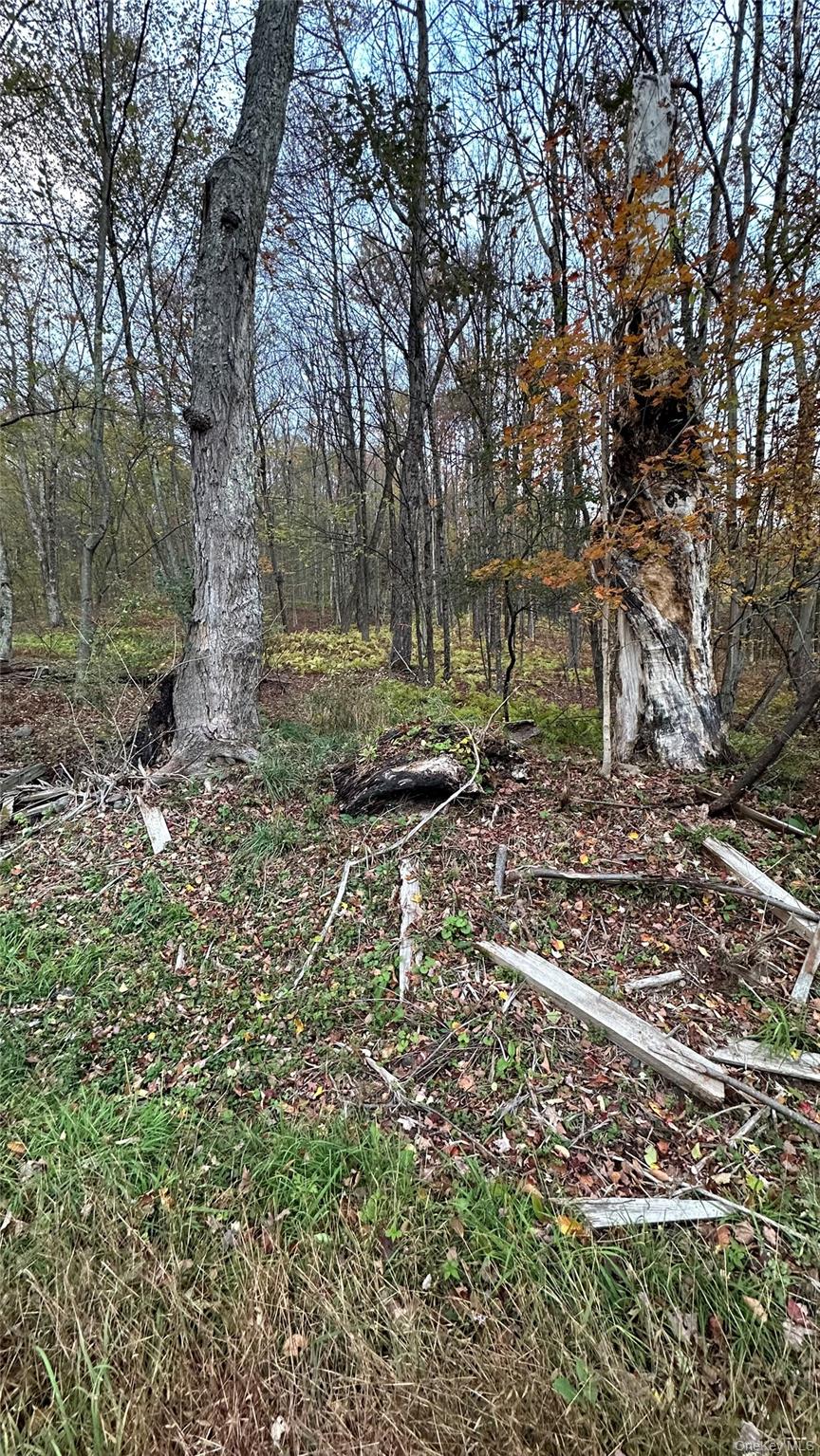 Tbd Hysana Road Property Photo 5