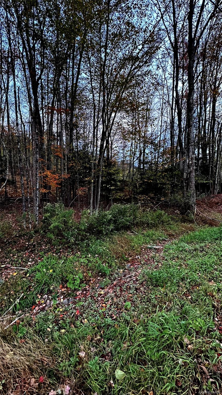 Tbd Hysana Road Property Photo 7