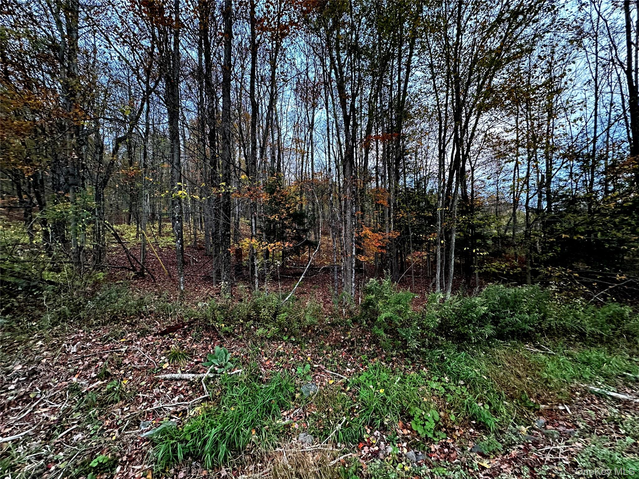 Tbd Hysana Road Property Photo 8