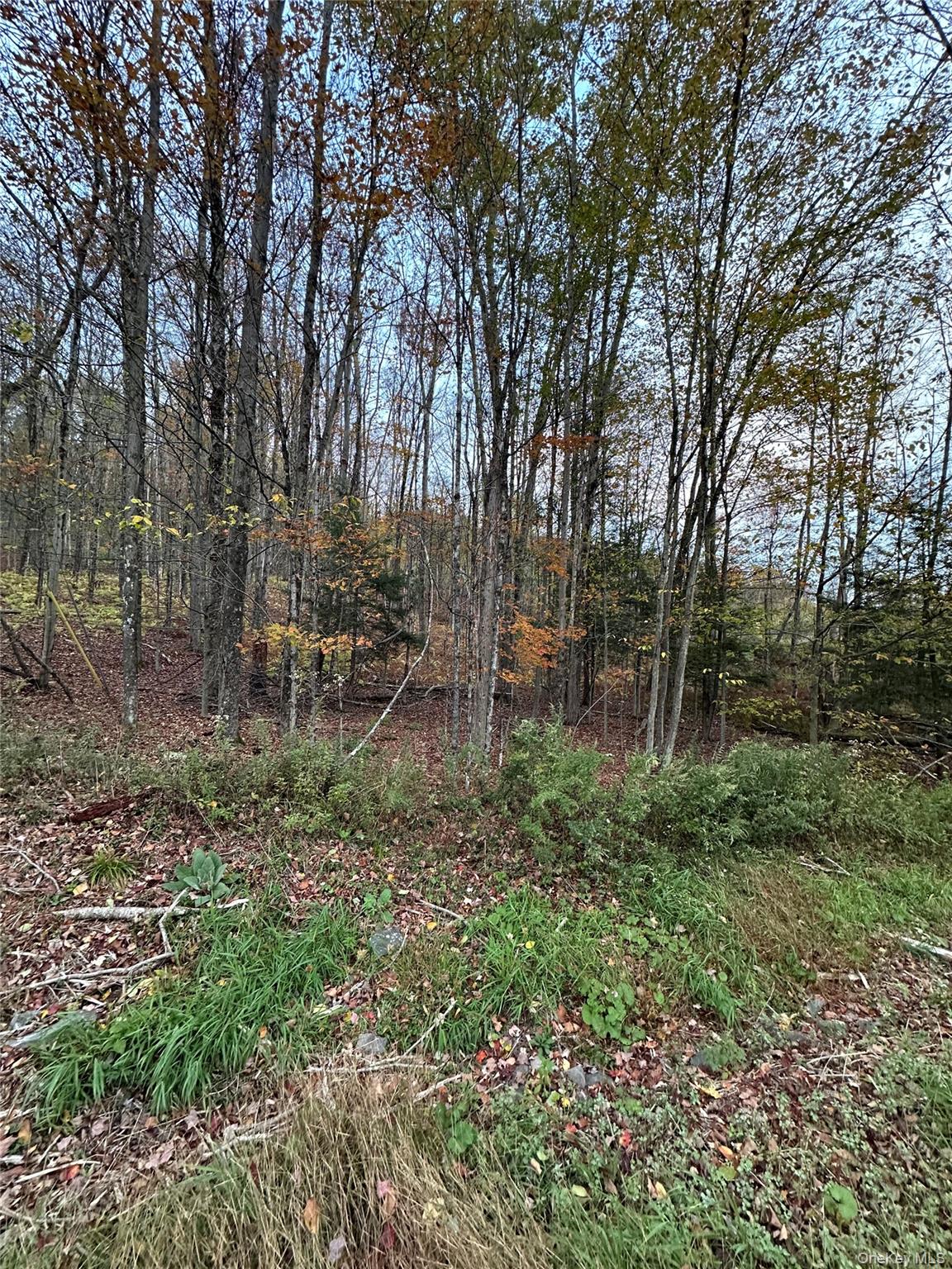 Tbd Hysana Road Property Photo 9