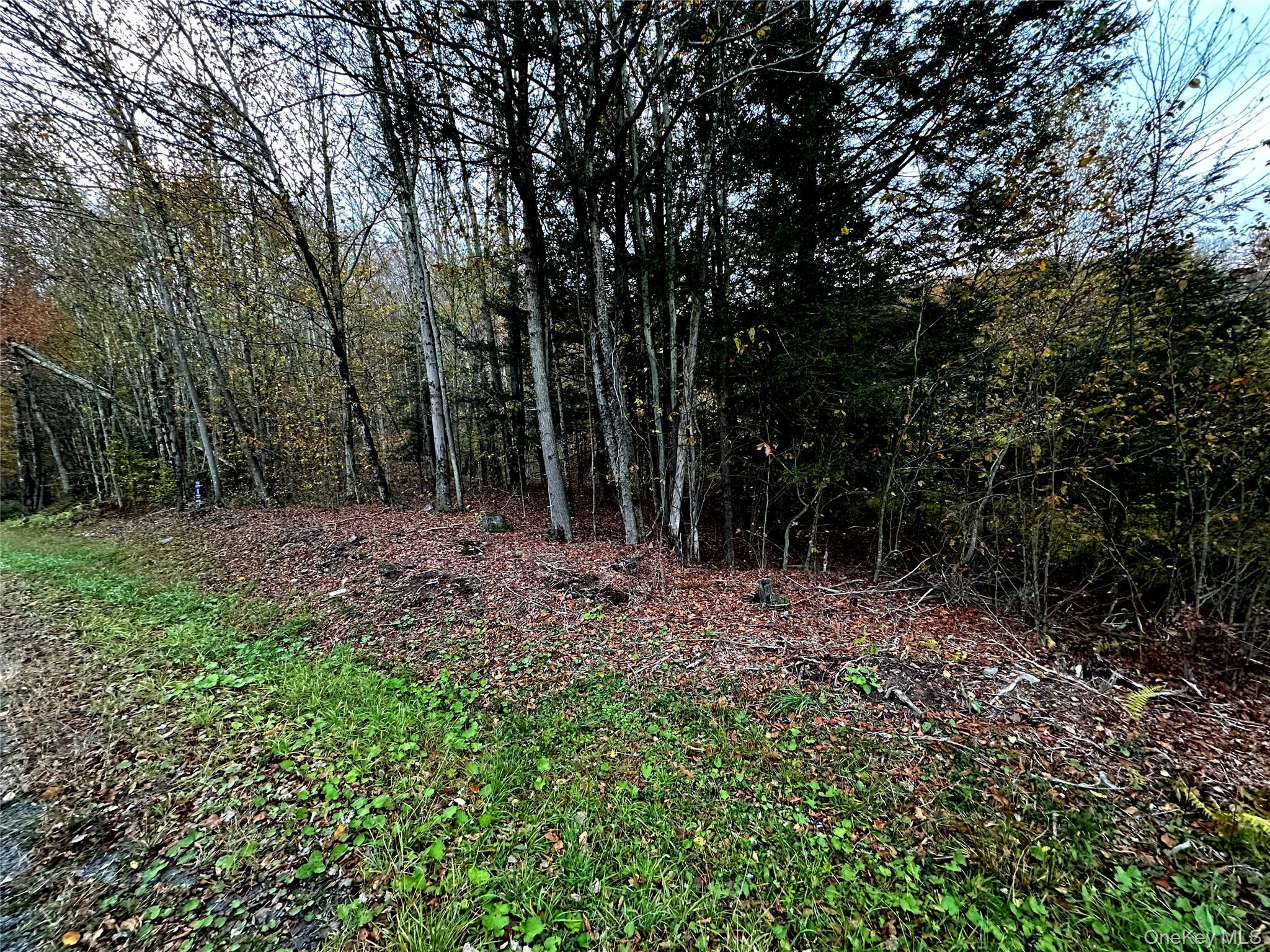 Tbd Hysana Road Property Photo 10