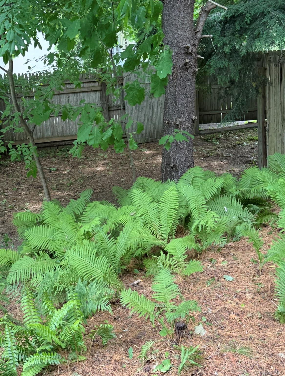 17 Townsend Boulevard Property Photo 33